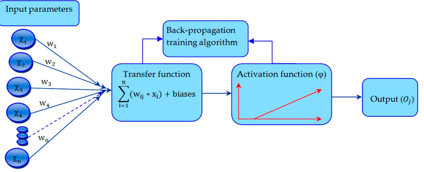 Typical architecture of the ann model.