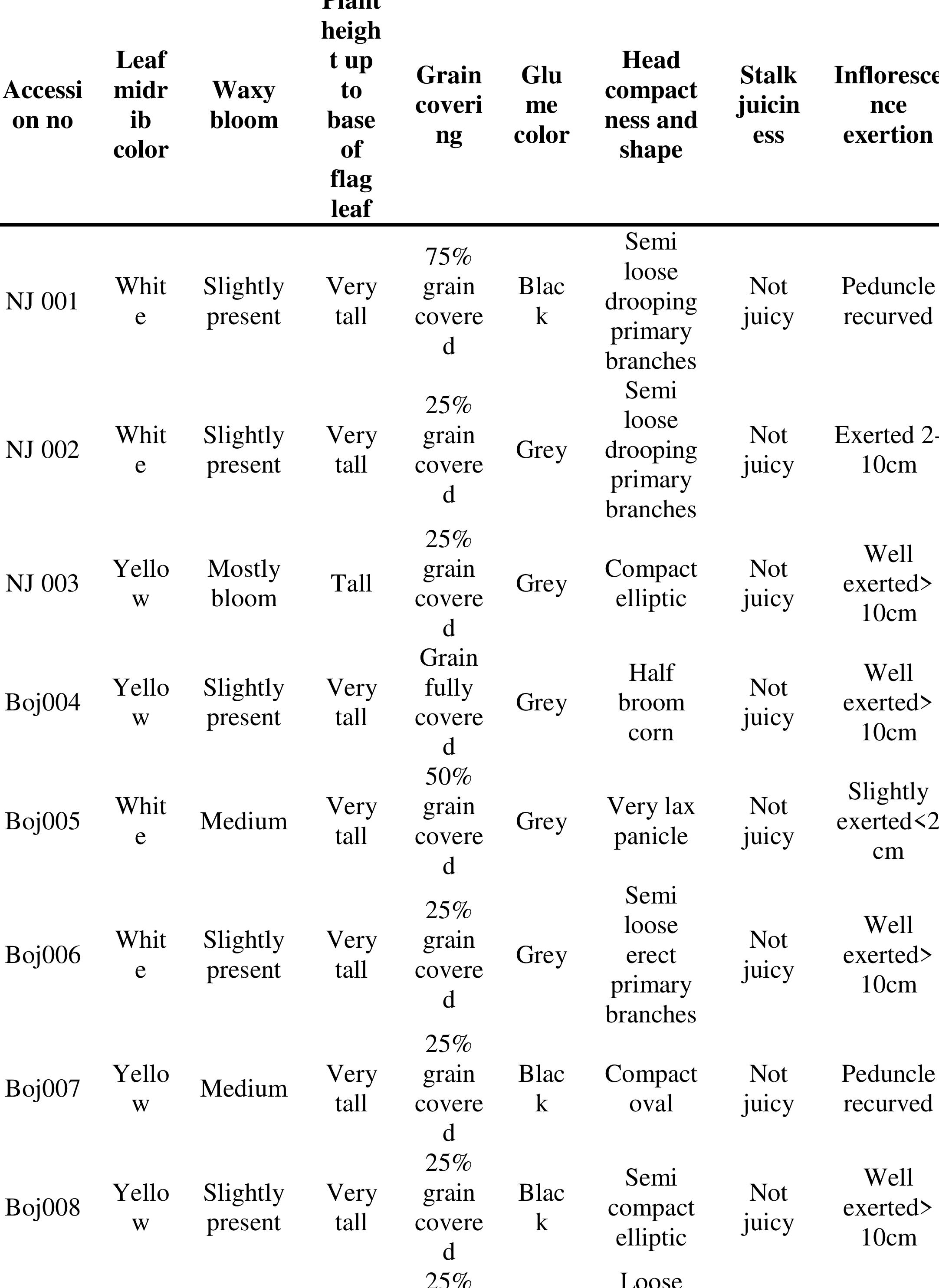 Table 4 - Morphological characterization of sorghum[Sorghum