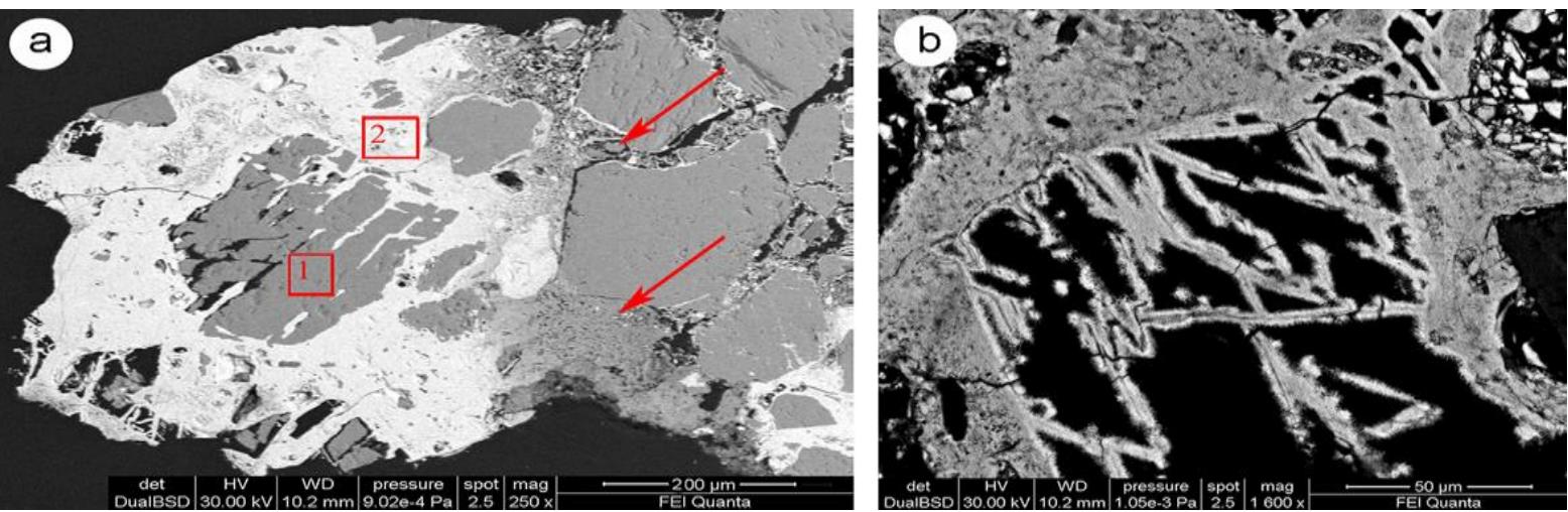Sem image of sample ns3 showing: (a) the replacement of