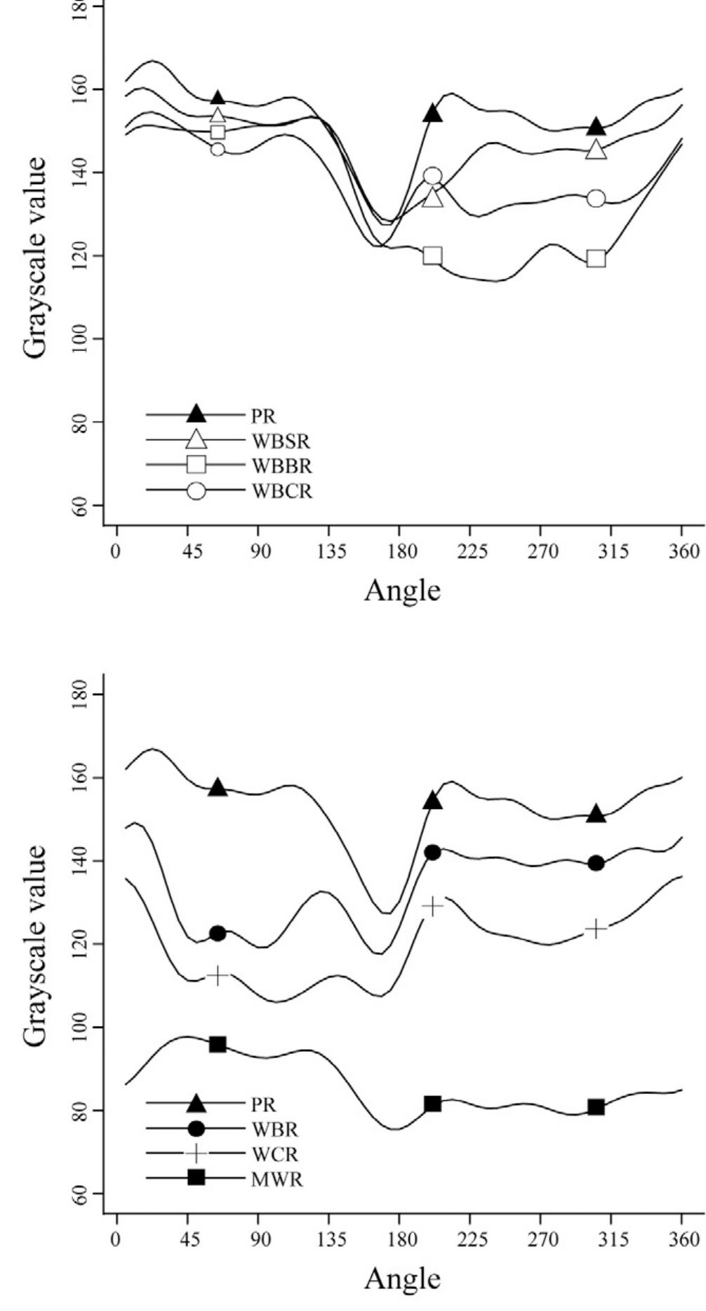 White Core Rice Schematic diagrams of the data-acquisition process using