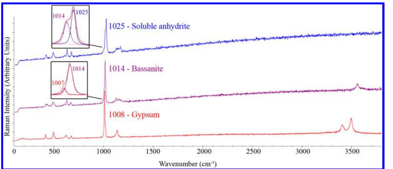 Table 6 - The Raman spectra of the different phases in the