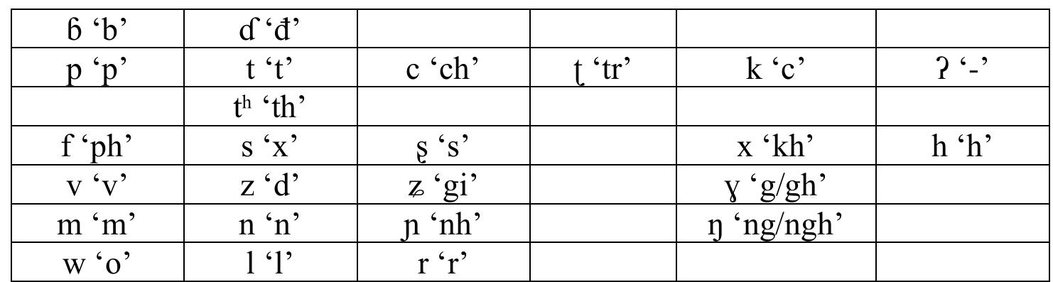 Table 2: System used in the phonetization of onsets (Kirby 2008)  After phonetizing the lists, we proceeded to filter them with the goal of having a core list of the unique syllable types found in Vietnamese. As can be seen in Table 3, many of the items in the Chiang list are homophonous. We filtered this list and found 1,939 unique syllable shapes. In what follows, we refer to this as the SINO-VIETNAMESE SYLLABLES list, or just the SV list for short, although this is slightly misleading, as we shall see in a moment. 