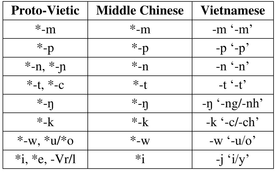 Table 17: Source codas from Proto-Vietic and Middle Chinese in Vietnamese  Thus, the impact of Sinitic-Vietic contact in the Vietnamese coda system is primarily evidenced in the form of phonotactic constraints against final fricatives and the glottal stop (and perhaps against palatal  The Proto-Vietic and Middle Chinese origins of Vietnamese codas can be tracked relatively precisely, as in Table 17. There is considerable consistency in the developments from both Proto-Vietic and Late Middle Chinese codas, with the single exception of the merger of Proto-Vietic palatals with coronals. In this situation, Chinese had little potential for impact on Vietnamese codas. While the losses of some codas are paralleled in Middle Chinese, language contact did not introduce new syllable-final segments. 