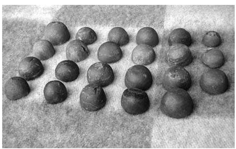 Fig. 6:4. Skamby in Kuddby: amber gaming pieces from a boat grave. Early Viking Period, 9th century AD. Median diameter 36 mm. Photo mr. 