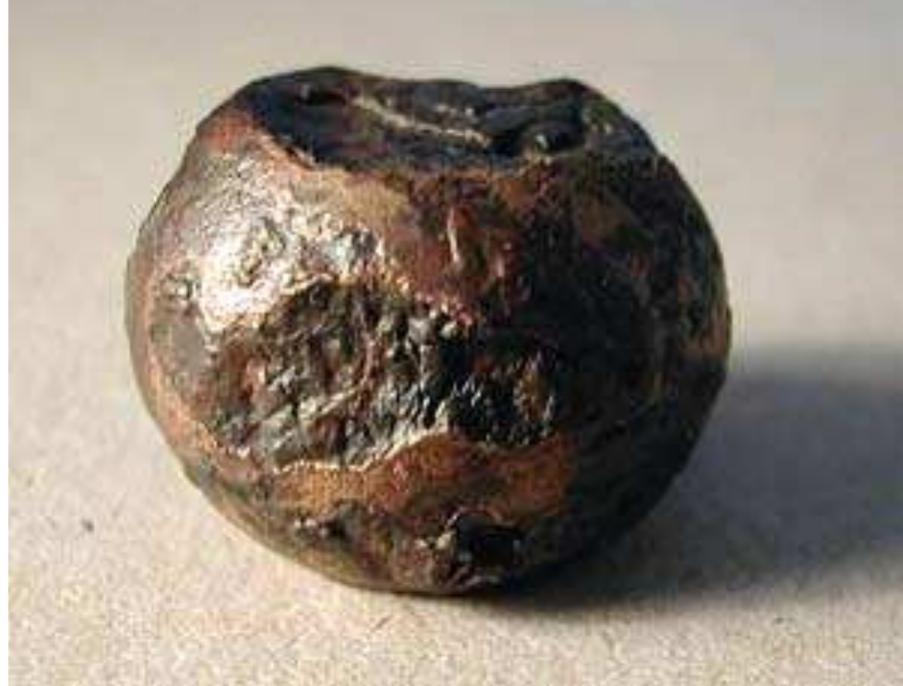 Fig. 9:26. Skamby in Kuddby: weight, Viking Period, gth- 11th centuries. Diam. 24 mm. Photo Mr. 