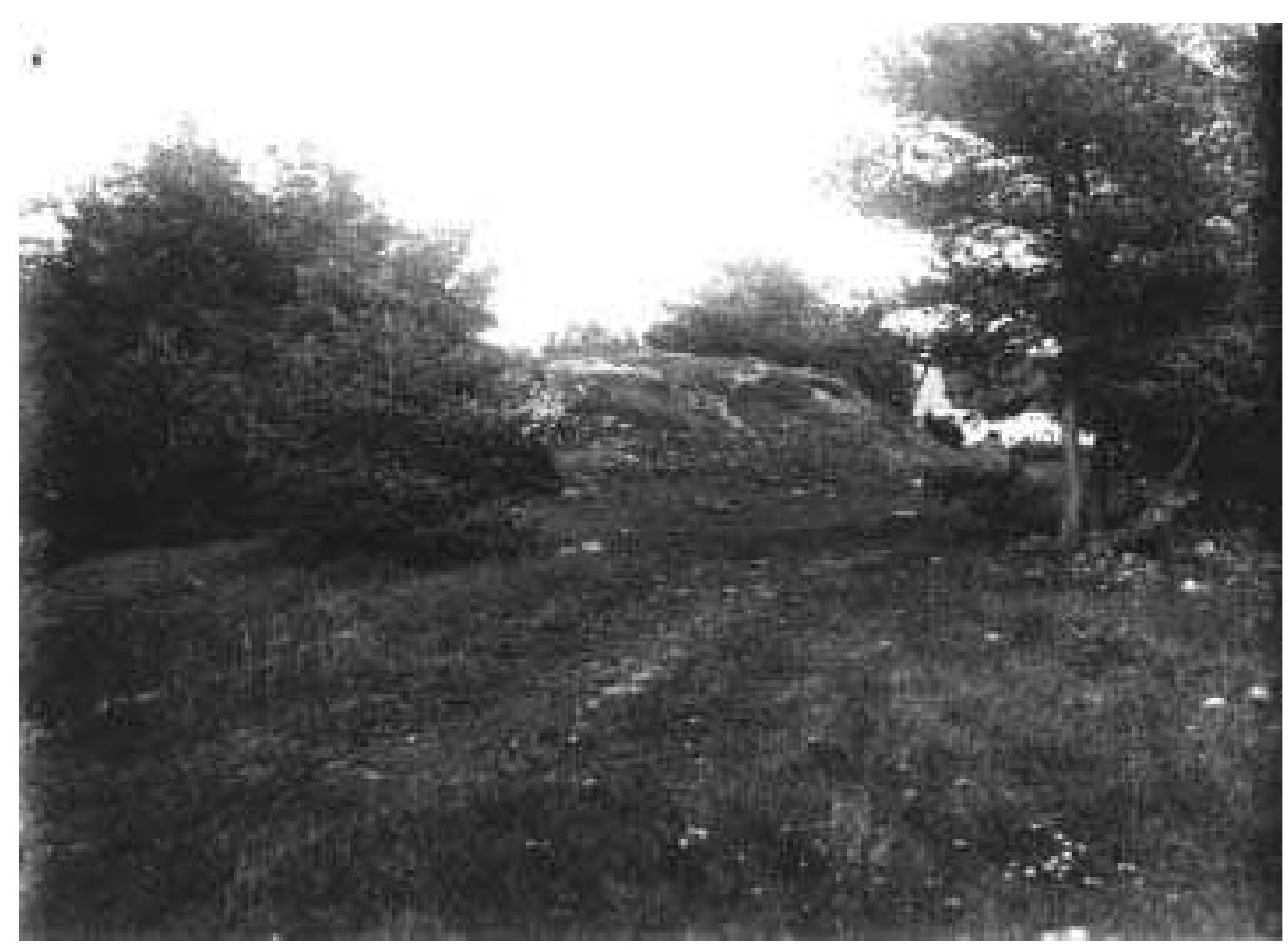 Fig. 3:1 Gullbacken (Bhr 1826:12), the great barrow in cemetery section 3, seen from the S by a photographer standing at the edge of the main road. Four lid slabs of potato cellars are visible on top of the barrow. Photograph by Ture Arne 1920 (ATA neg. 462:29).  Fig. 3:1 Gullbacken (Bhr 1826:12), the great barrow in cemetery section 3, seen from the S by a photographer  being the correct number and gives the following list.  Most of the graves listed in A can be identified with graves described in B, leaving five cremation graves unaccounted for. The only grave in B without a corresponding entry in A is number 12, Gullbacken (fig. 3:1), the largest barrow of the cemetery. Incidentally, this is the only one of Ekdahl’s graves that can be identified at the site today. Gullbacken had al- ready been robbed before 1826, but Ekdahl states that he dug into it anyway because of its related folklore. This could explain the discrepancy between the number of graves in A and B: Ekdahl may have treated Gullbacken separately, leav- ing it out of the summary in A. This assumption leads to 16 being the correct number and gives the following list. 