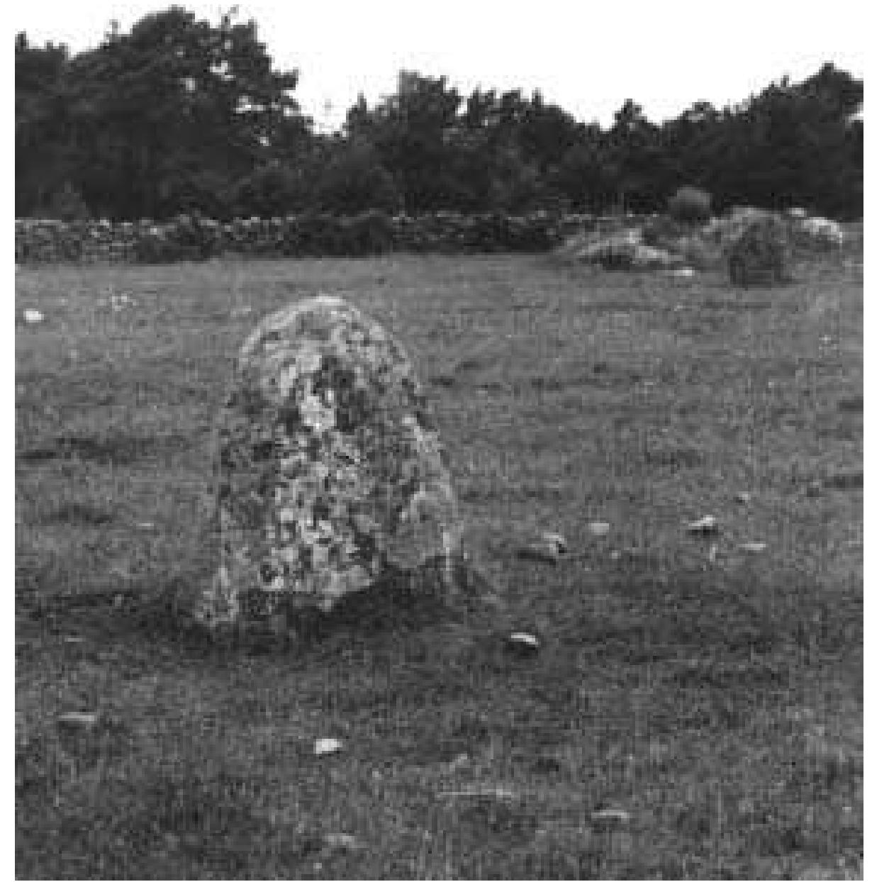 Fig. 3:2 The Quarrel Stones (Raa Grétlingbo 44 & 43, Bhr 1952:04 & 1952:03) in cemetery section |, seen from the SE by a photographer standing with his back to O.V. Ohlsson‘s farmstead. The entire area is now part of the gravel pit. Photograph by Evald Gustafsson 1952 (ATA neg.A251:218). 
