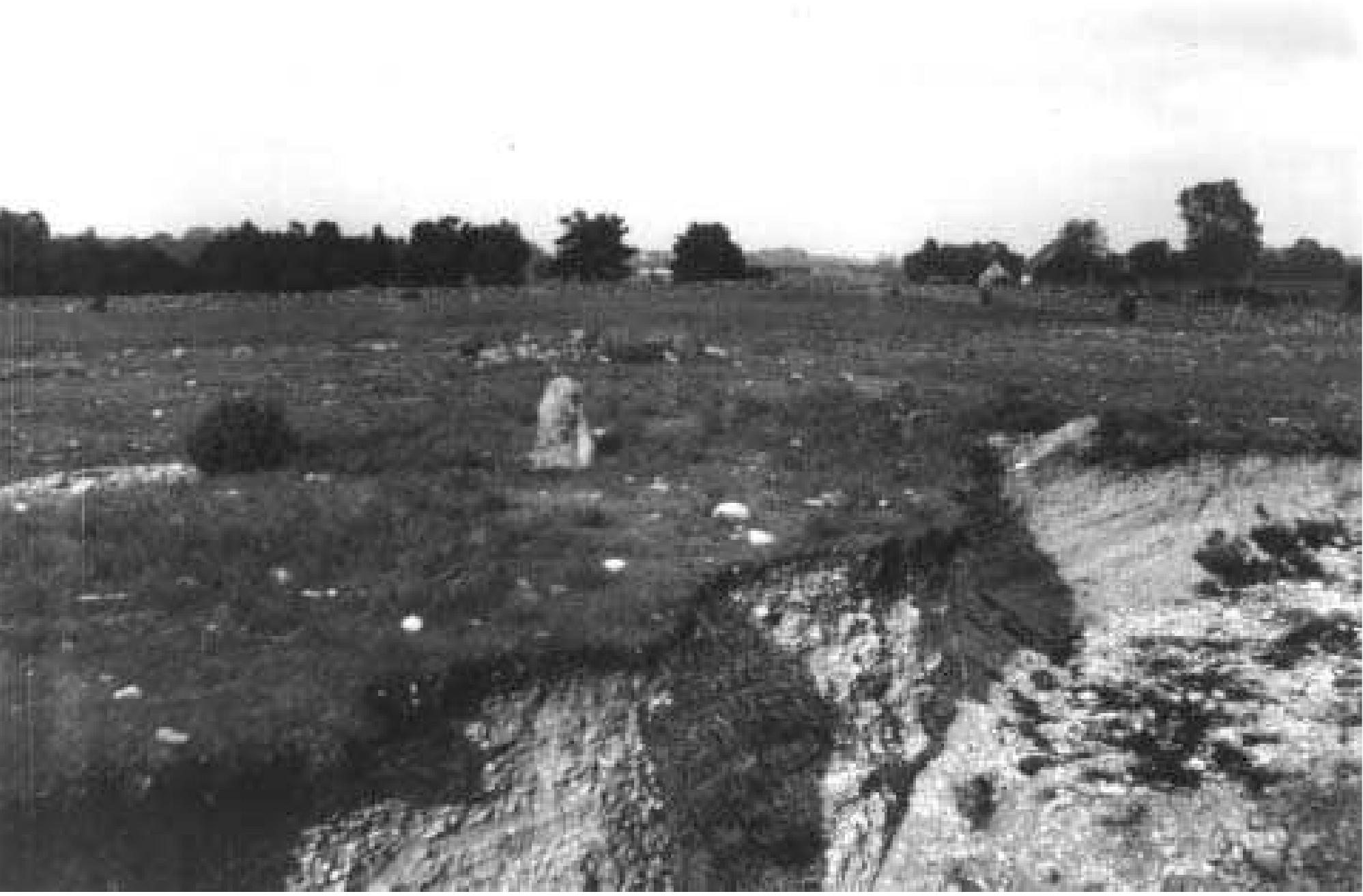 Fig. 3:4 The still-standing stone at the SW end of the gravel pit in cemetery section |, re-erected by Harald Hansson in 1928, seen from the SW. The rubble seen behind the stone is the ruined cellar of Zacharias Norrby‘s farmstead. Bhr 1965:06 was located a few metres beyond the stone. The entire area from this spot to O.V. Ohlsson‘s farmstead near the right-hand edge of the picture is now occupied by the gravel pit. Photograph by Harald Hansson 1930 (ATA neg. 1337:19).  During the period 1800-1925 five farmsteads were es- tablished well within the boundaries of the cemetery. All but one survive today. Two were founded in cemetery section 1: Roes farmstead #7 (Hallgren et al. 1983:185-186, Roes 1:31), established c. 1850 by O.V. Ohlsson’s (see section 3.1.15) maternal grandfather; and a farmstead of Roes mapped at the time of the Laga Skifte and subsequently apparently aban- doned (Hallgren et al. 1983:229). The final owner of this farmstead was the labourer Zacharias Norrby (1816-?, Hall- gren et al. 1983:134) who sold a brooch from the cemetery in 1876 (SHM 7871:134). Norrby was old or even deceased at the time of the Laga Skifte. His wife Brita Lena Larsdotter was senior to her husband by 18 years and would, if still alive, have been even less able to run a farmstead at that time. The foundations of the farmstead’s buildings (dwelling, barn and cellar, fig. 3:4) and the extent of the farmyard were clearly visible into the 1930s and planned twice, after which they were obliterated by gravel extraction. Thus, these ruins were unrelated to the Medieval farmstead of Barshalder (contra  Trotzig 1979:89).  Drawing the line between grave robbing and scientific exca- vation is not easy with the early excavators. The distinction 