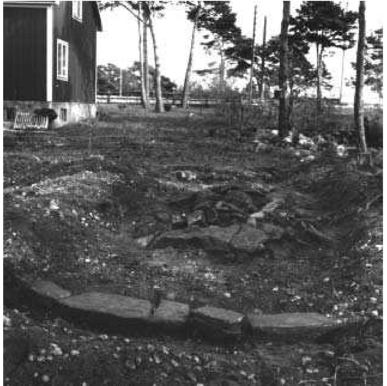 Fig.3:8 Bhr 1952:01 in cemetery section 2 seen from the NW during excavation. Beyond the stone setting is the area concealing the graves Bhr |967:36-43, between the Rojrhage |:1 house and the Roes quarry. The rubble at the base of the tree with the bird box marks the edge of the quarry. Photograph by Greta Arwidsson 1952 (ATA neg.A251:221).  Fig. 3:8 Bhr 1952:01 in cemetery section 2 seen from the NW during excavation. Beyond the stone  Arwidsson was assisted during both of her visits to Barshalder by the Gotlands Fornsal caretaker, Ejnar Johansson (1892- 1969). On 31 May they worked between 2:00 and 10:30 pm. Evald Gustafsson assisted them during the work with the standing stones. 