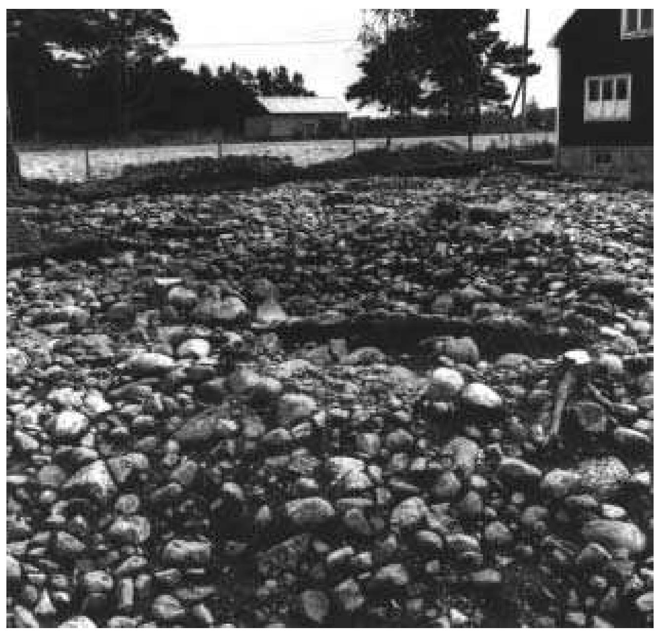 Fig. 3:10 The excavations of 1963-1967 at the Rojrhage |:1 property in cemetery section 2, seen by a photographer standing at the northern end of the trench. A continuous artificial stone layer covered the area, concealing Iron Age graves and Neolithic deposits (cf. fig. 3:11). Photograph by Gustaf Trotzig 1963 (ATA).  Fig. 3:10 The excavations of 1963-1967 at the Rojrhage |:1 property in cemetery section 2, seen 