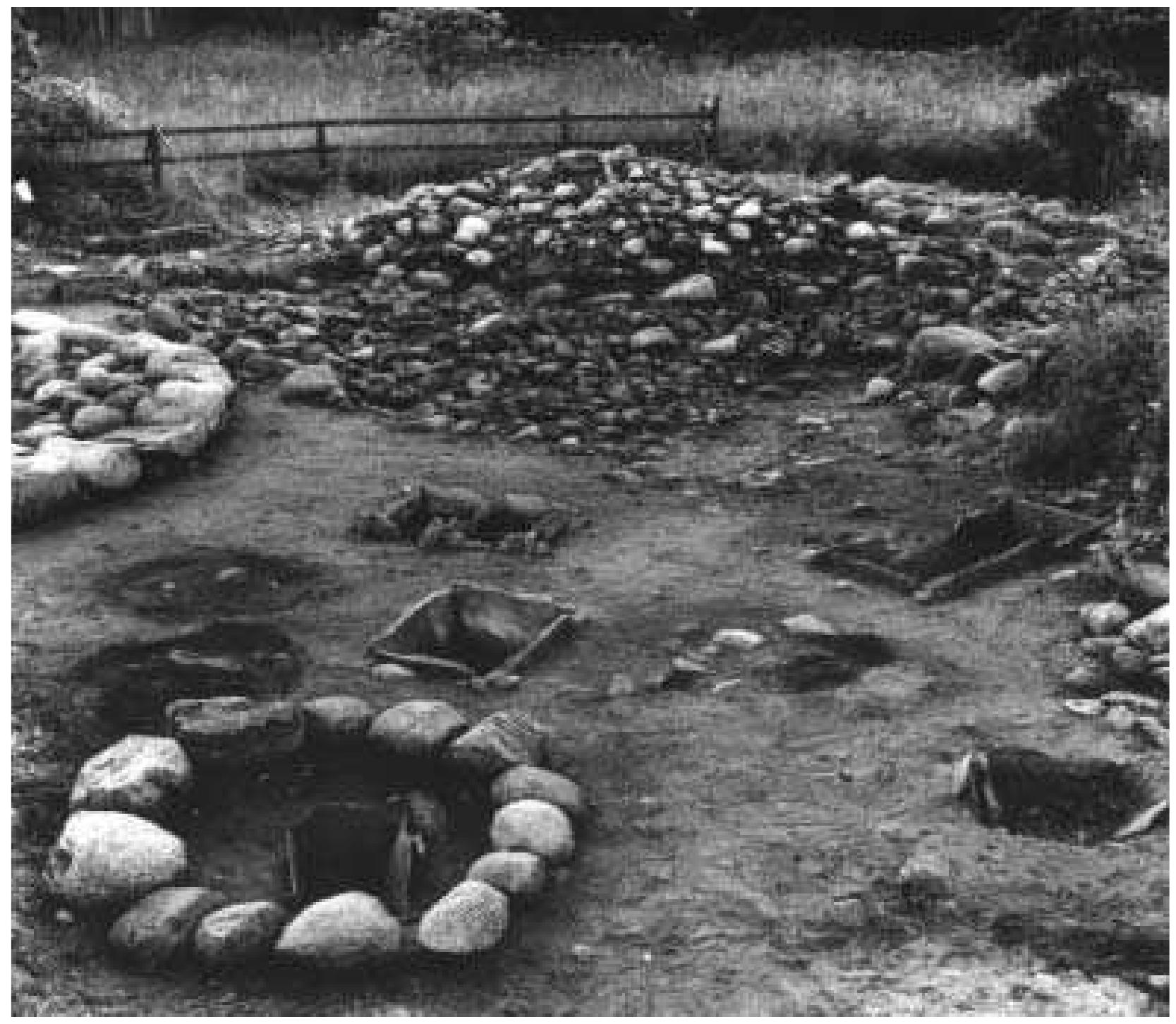 Fig. 3:1 | The northern end of the excavations of 1963-1967 at the Rojrhage |:1 property in cemetery section 2, seen by a photographer facing north with his back to the dwelling house. The covering stone layer has been removed, revealing a number of graves with Bhr 1967:09 in the left-hand foreground and the mound Bhr 1967:33 at the far end of the trench. Photograph by Gustaf Trotzig 1963 (ATA). 