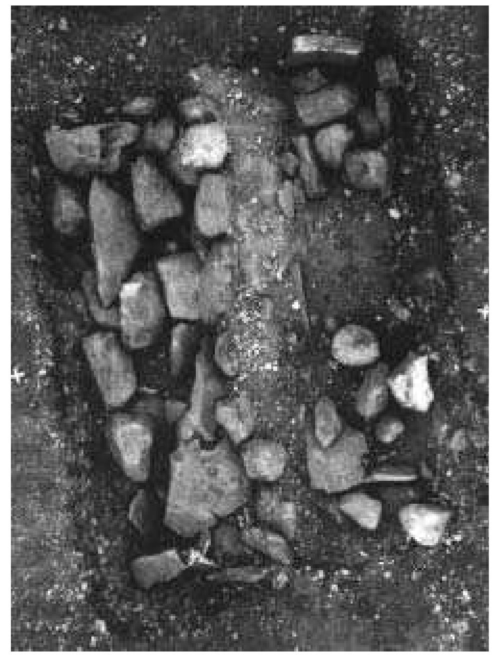 Fig. 8:2 Bhr 1966:13 & 14. Late Viking Period. Paired parallel separate inhumation trenches with covering stone layers. Length c. 3.0 m. Photo- graph by Gustaf Trotzig 1966 (ATA). 