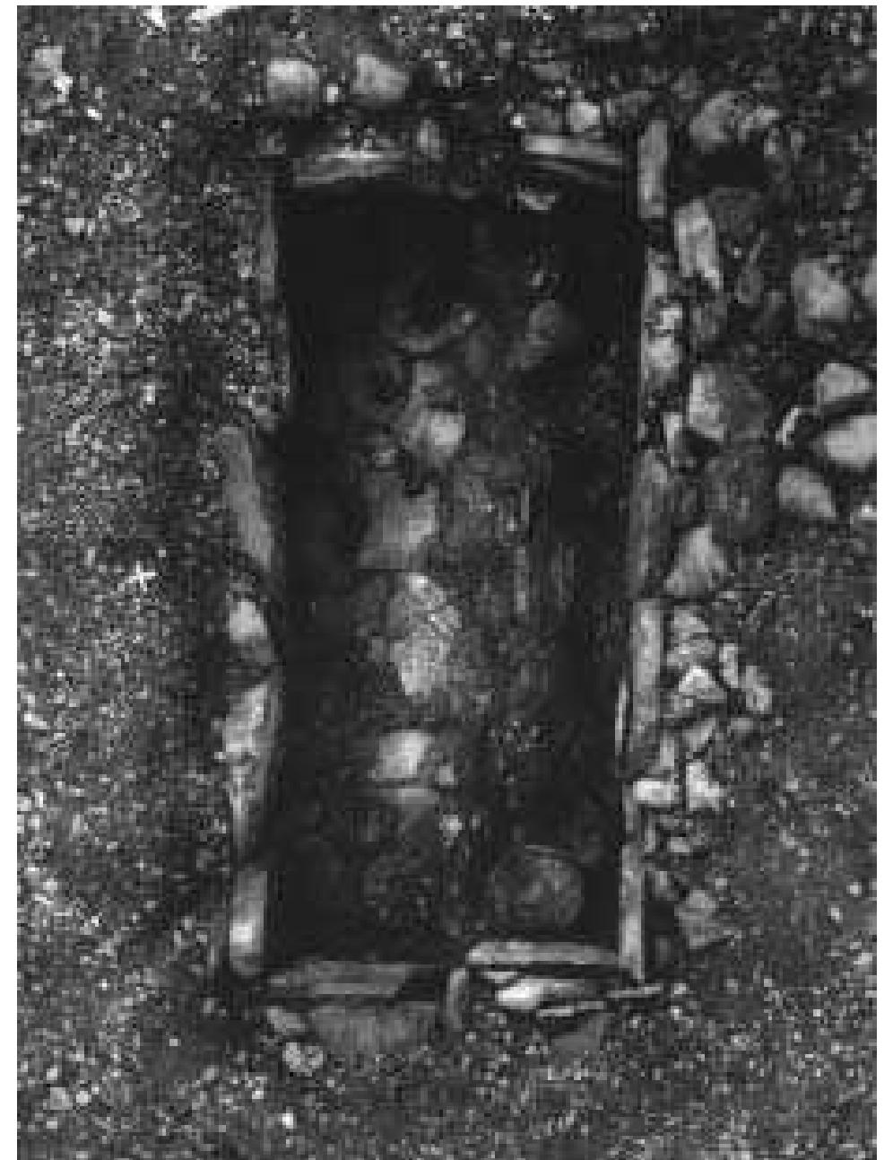 Fig. 8:4 Bhr 1966:09N & 09S. Late Viking Period. Paired parallel joined inhumation trenches with sandstone slab walls and floor and in situ cof- fin nails. Length c 3 m. Photograph by Gustaf Trotzig 1966 (ATA). 