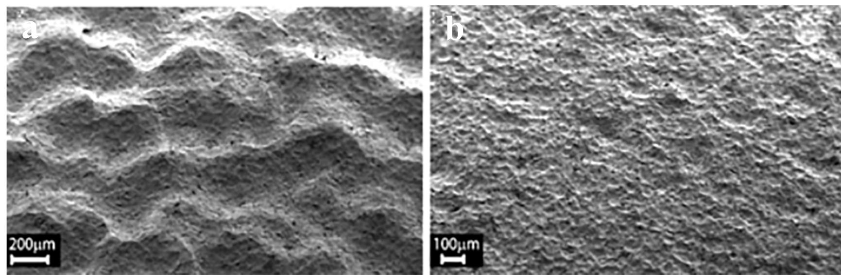 Hatch Distance Overlap (PDF) A Review on Mechanical and Corrosion Behaviour of DMLS Materials