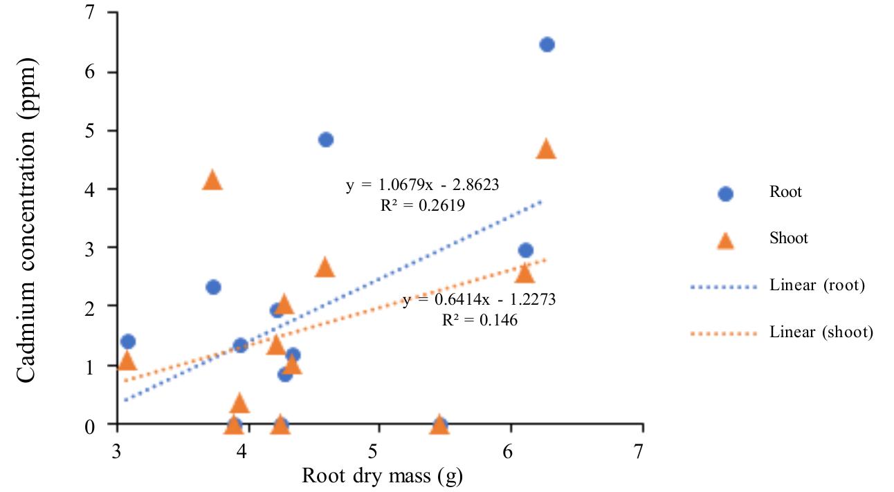(PDF) Absorption of Cadmium and its Effect on the Growth of Halfsib ...