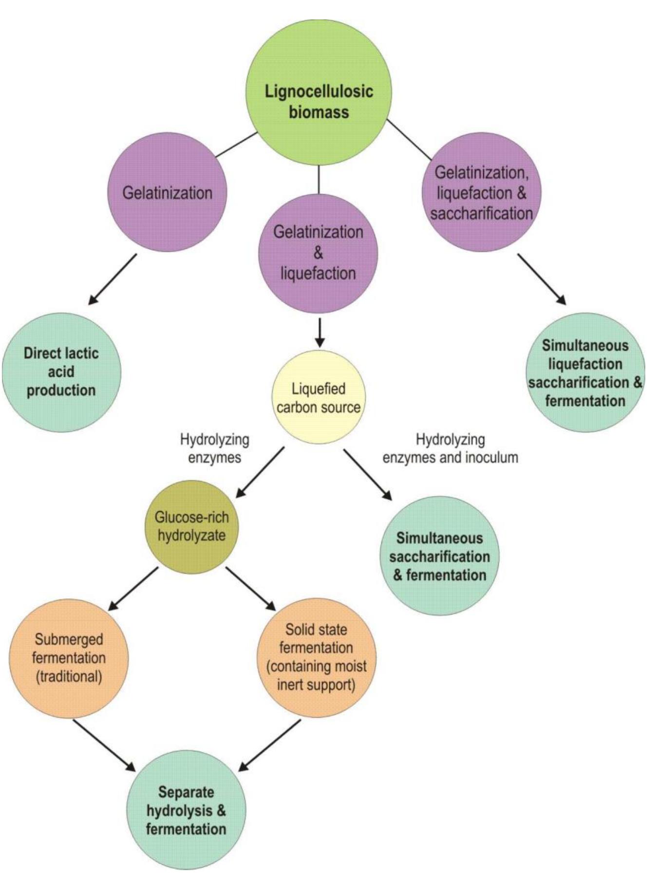 (PDF) Lactic Acid: A Comprehensive Review of Production to Purification