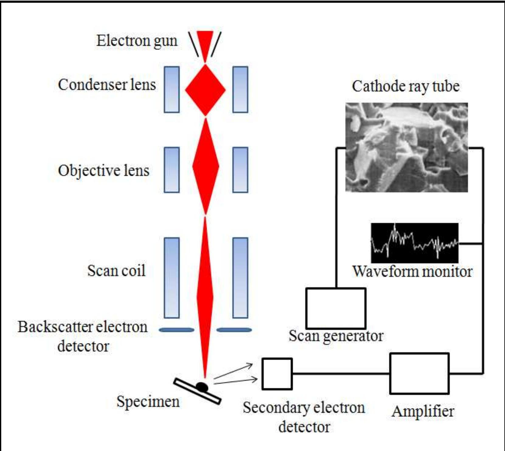 -11: schematic diagram of scanning electron microscopy