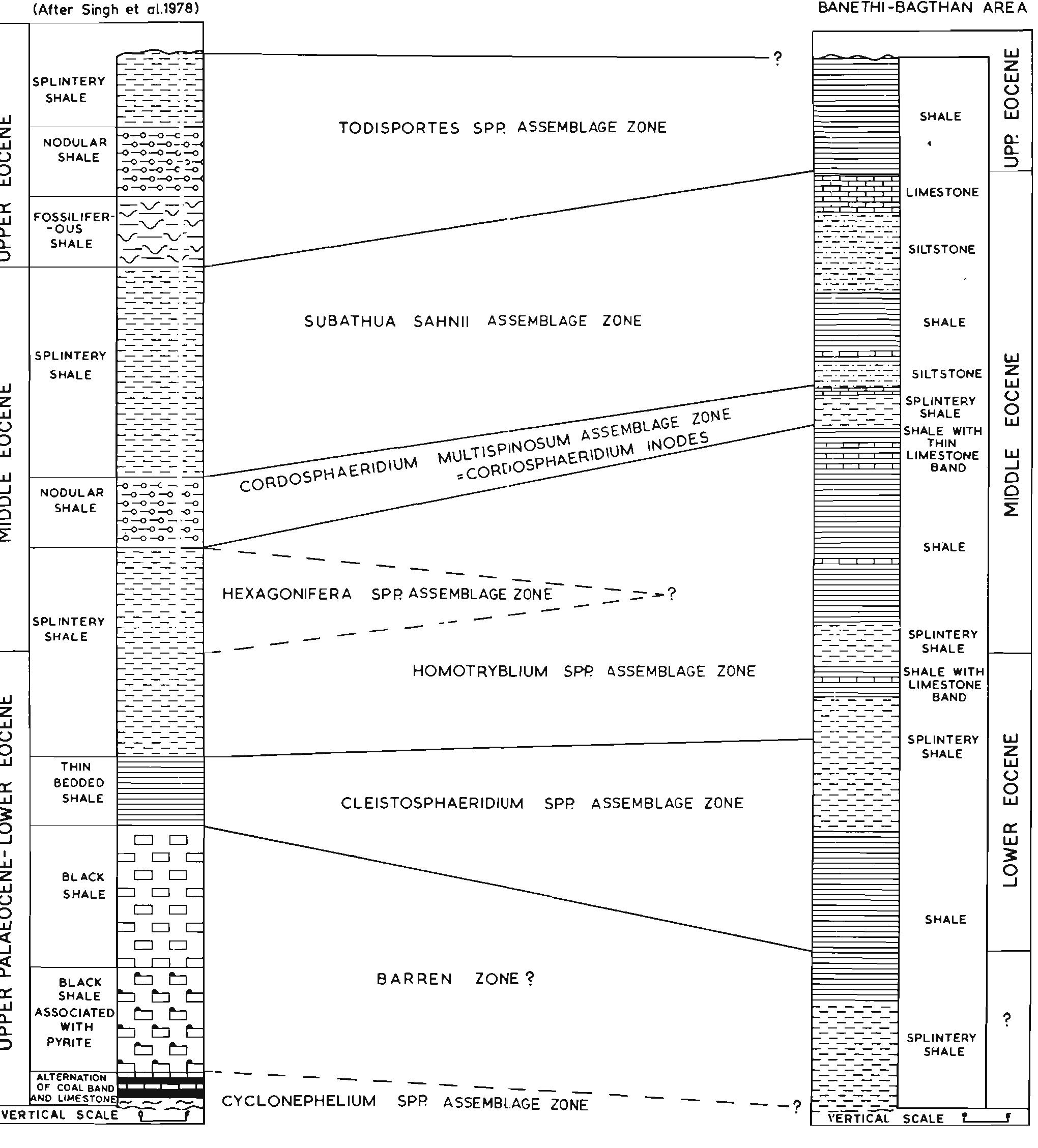 Subathu (PDF) Significant palynozones of Subathu Formation (Himachal Pradesh ...