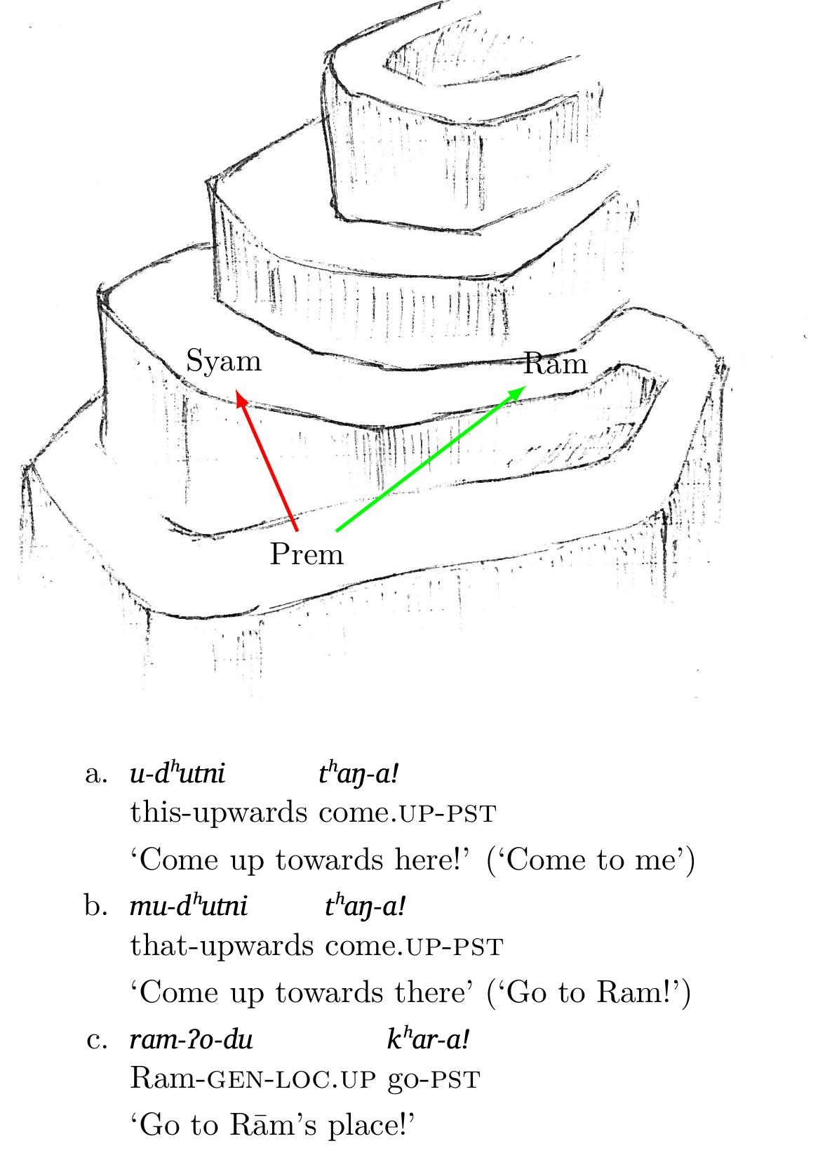 What is surprising about (26b) is that even though the motion involves an upward direction, as expected for the verb |than|, this is a venitive verb, and yet the motion takes Prem away from, rather than towards, the deictic center (which is the speaker, namely Syam). Prem only comes closer to the deictic center from the point of view of elevational deixis, since he ends up at the same elevation as Syam.  Figure 1: Motion along a slope in Bantawa (first scenario) 