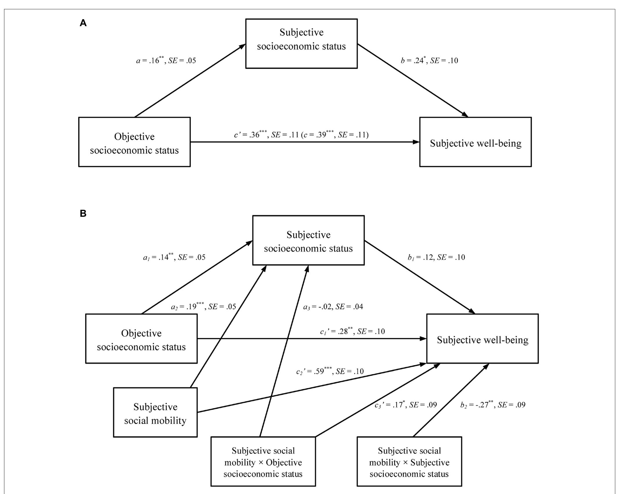 (PDF) The Effects of Objective and Subjective Socioeconomic Status on ...