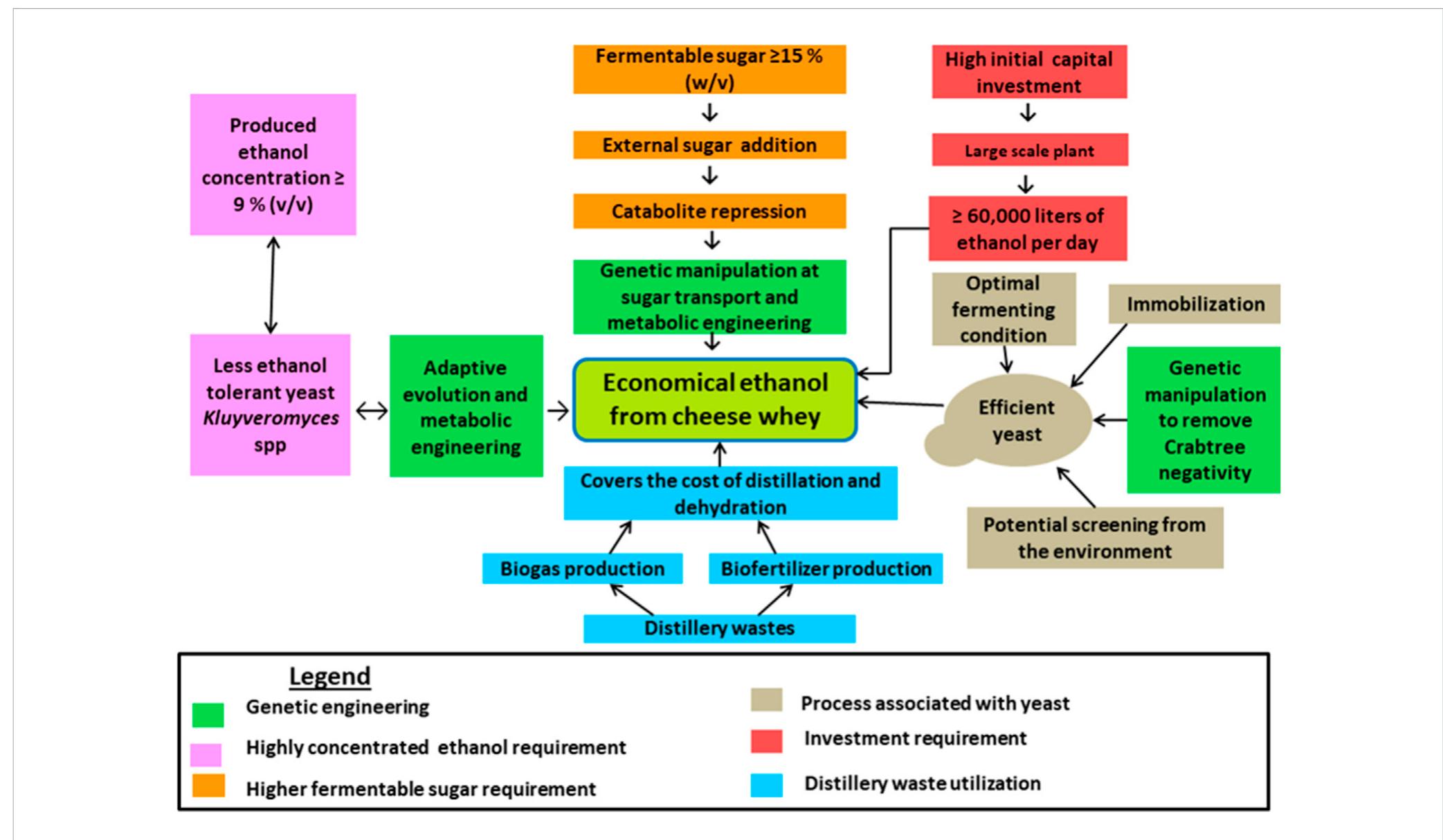 Different processing conditions to produce economical