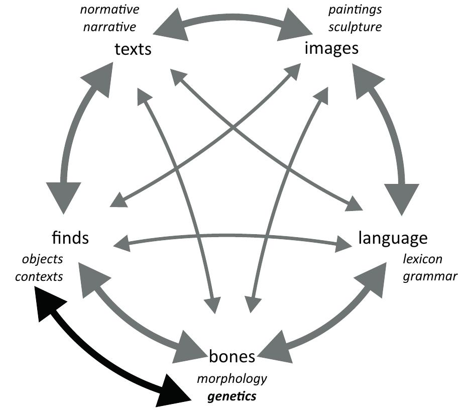 The traditional >ethnic interpretation< in archaeology (or its ethnic focus) apparently de- pends on several circles of data and their interpretations; but this is impossible without a written record which localizes a specific group. Starting from the reconstructed territory, comparisons to selected archaeological distribution maps are made, leading to the sugge- stion of »ethnic symbols: and the identification of »foreigners« somewhere else. The circles become more numerous and puzzling when further data are included. Relations between material culture and languages cannot be reconstructed, because we do not have any dating and localization of dialects and languages (Indogermanic, Celtic or Germanic) in European prehistory. Considering images, antique topoi of barbarians obscure the interpretation, and one should be aware of the transformation of meanings and media. Bones have led to some misinterpretations too which could easily be exemplified by the suggested plan-occipital skull of the bell-beaker »people<?, or the postulated long skull of ancient Germans (both still relevant in research literature).* Recently, aDNA and isotopes have also been included (Fig. 1). This traditional view has been challenged and changed fundamentally. Archaeology, influ- enced by historiography as well as by ethnology and the social sciences, has developed new concepts. »Peoples« no longer represent the main object of research, but the players and their agencies are the focus now. Social groups are another focus, and their cohesion by interests and identities.  