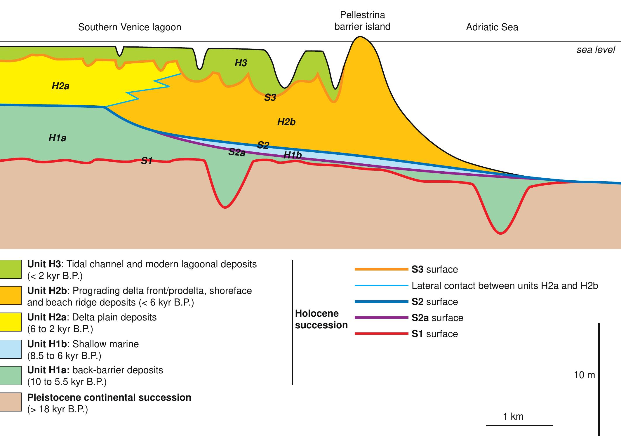 3d model showing the architecture of the holocene succession