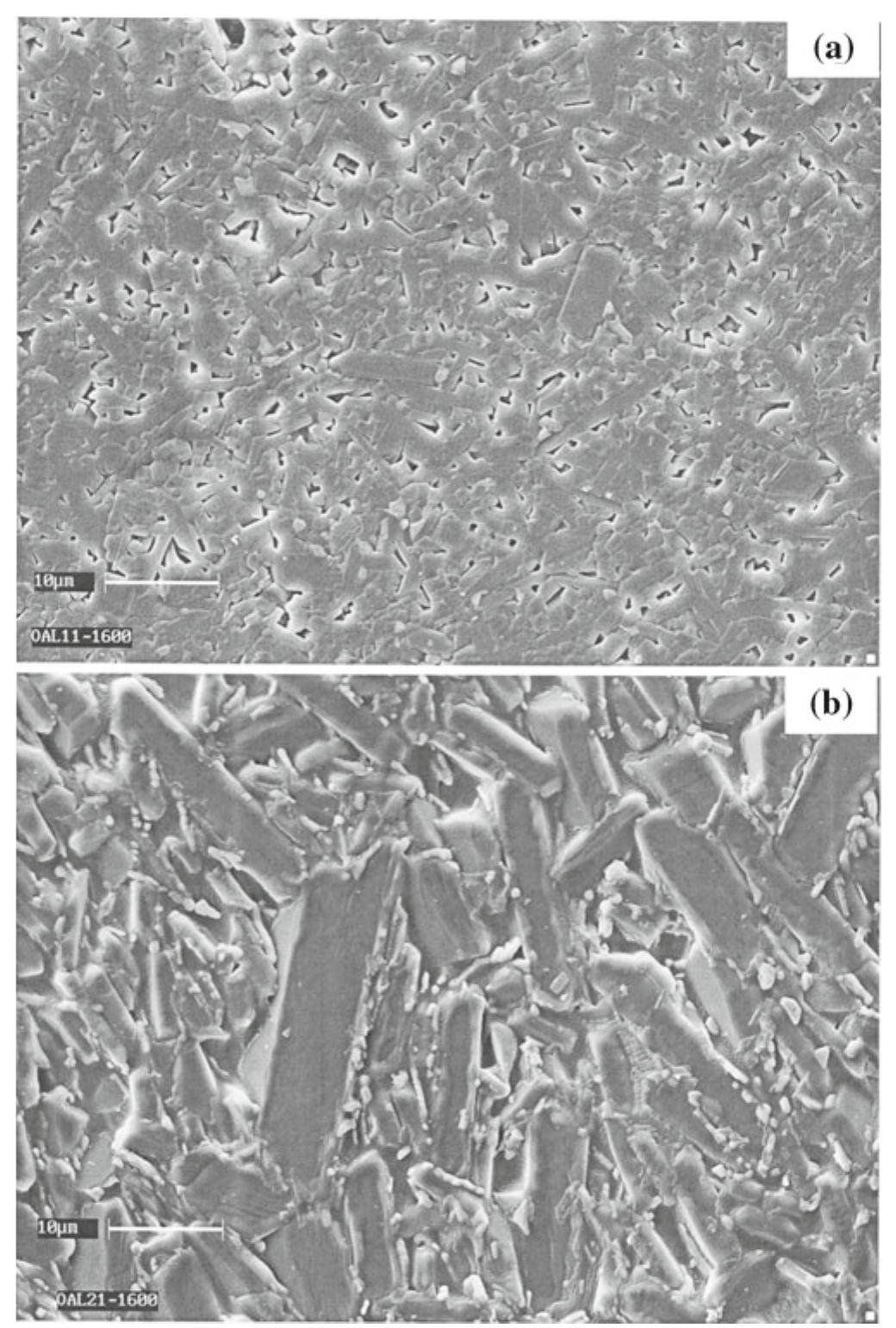 (PDF) Microstructure and properties of sintered mullite developed from ...
