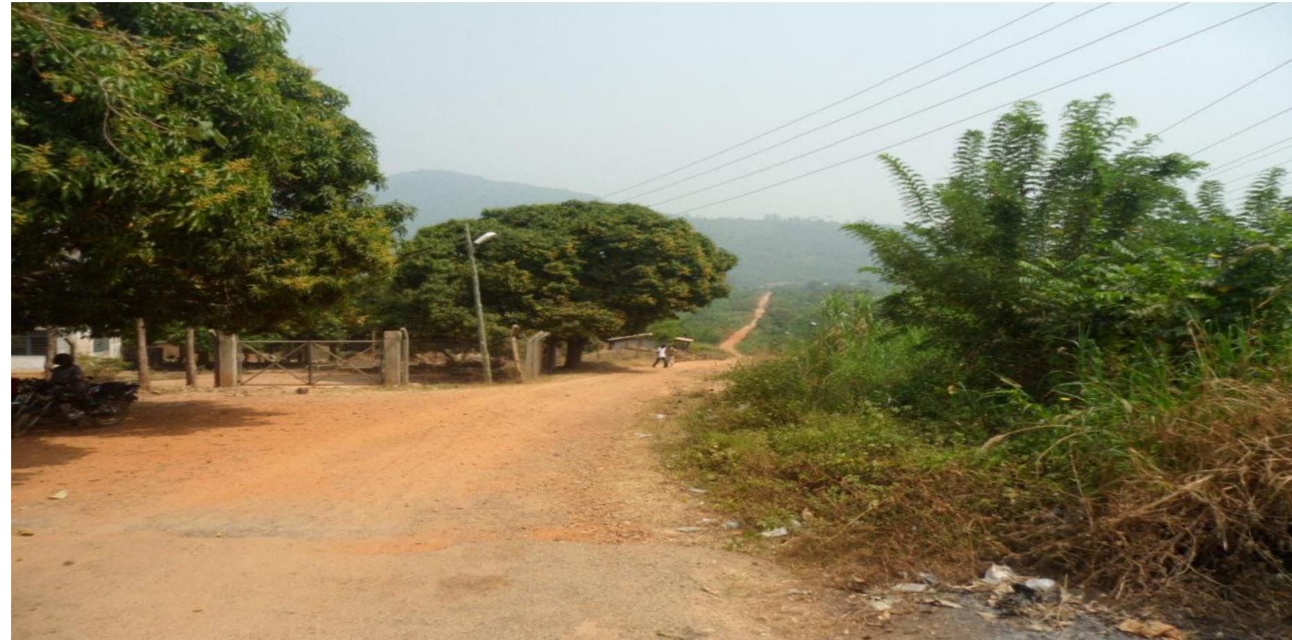 Picture 3.2. a road to nkonya tayi (taken during my field