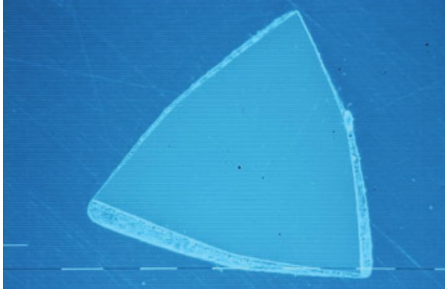 Mtwo File (PDF) Shaping ability and cleaning effectiveness of two single-file ...