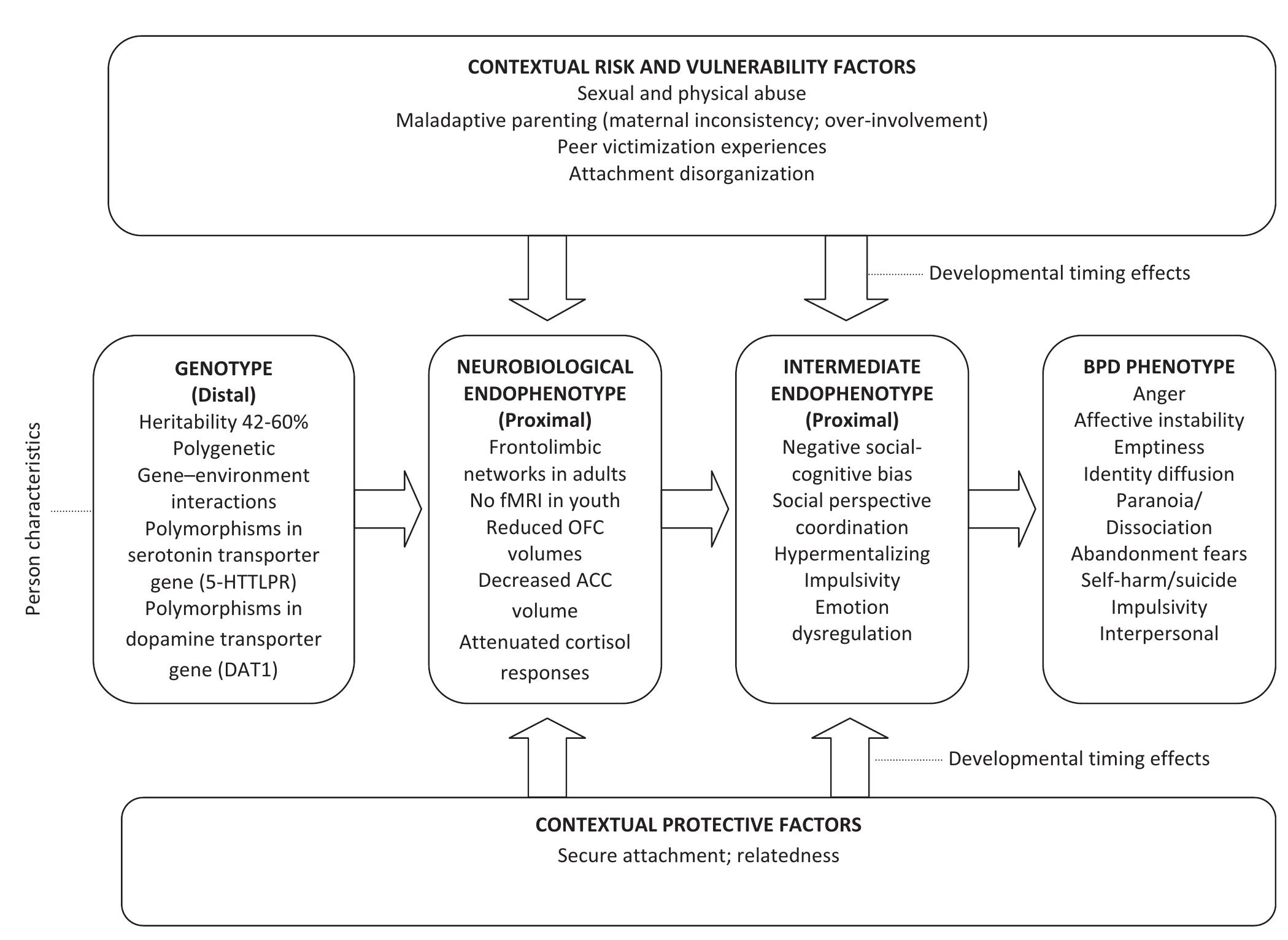 (PDF) Practitioner Review: Borderline personality disorder in ...