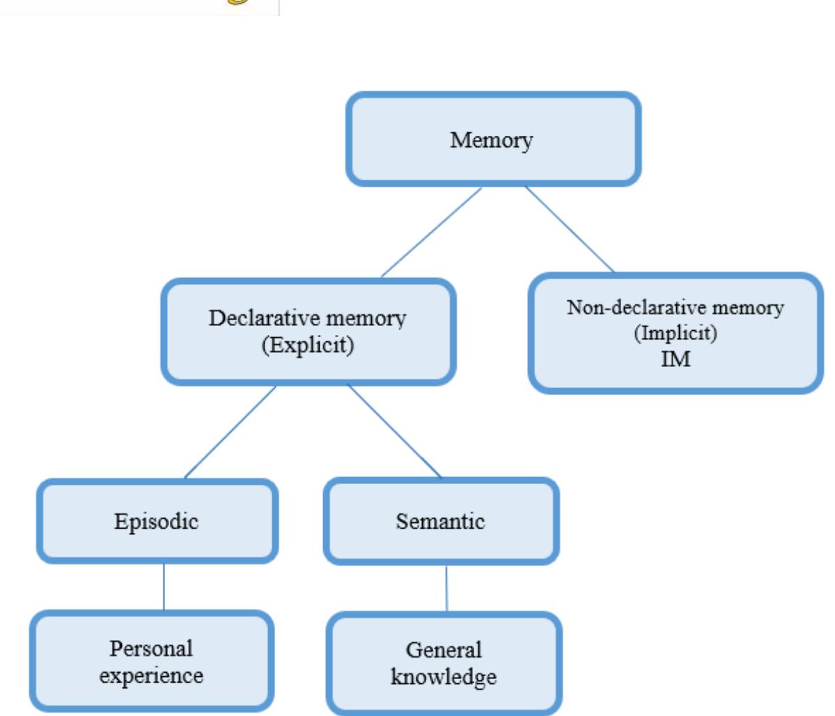 (PDF) Enhancing vocabulary learning through understanding the human ...