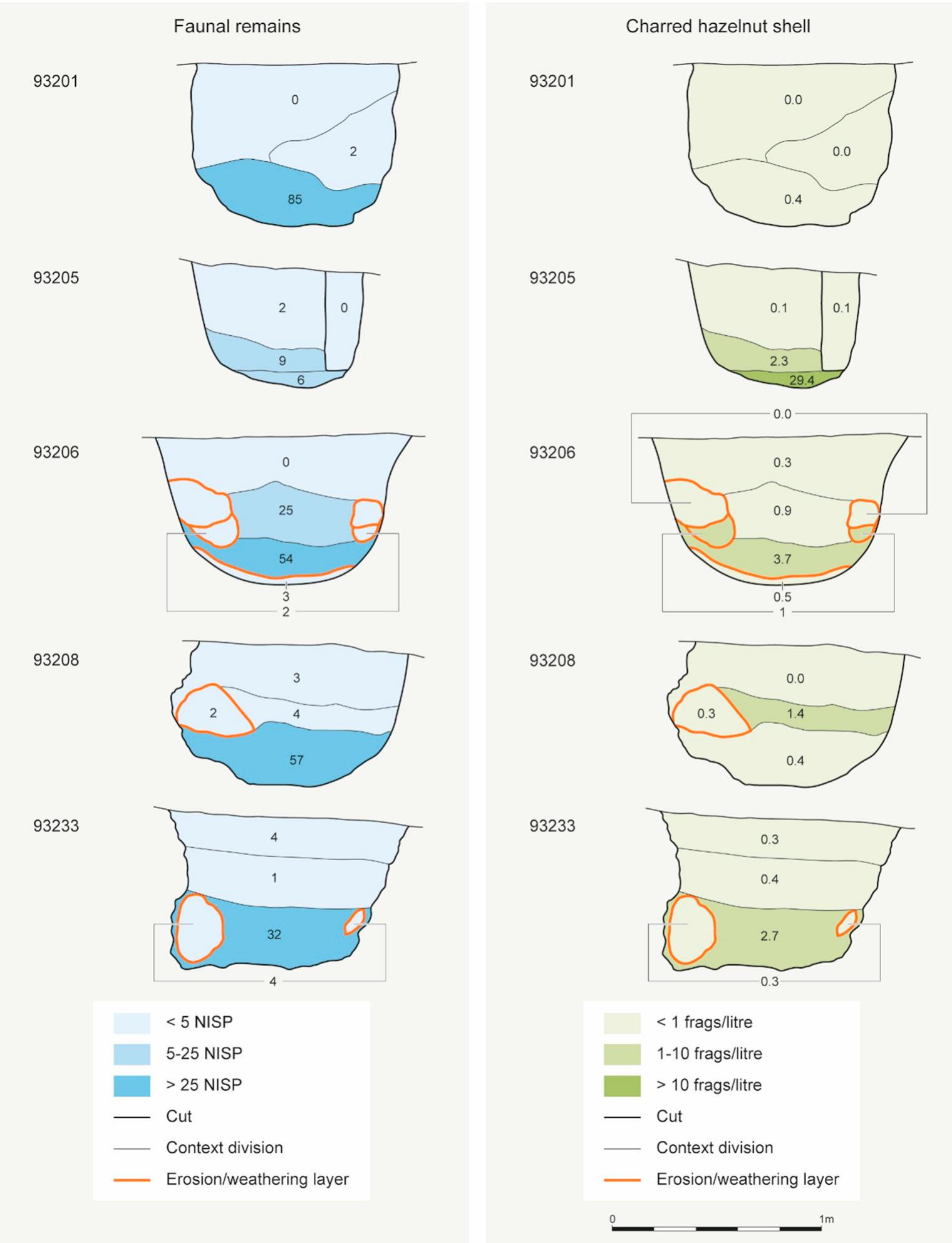 Stylised sections showing density of deposition of animal