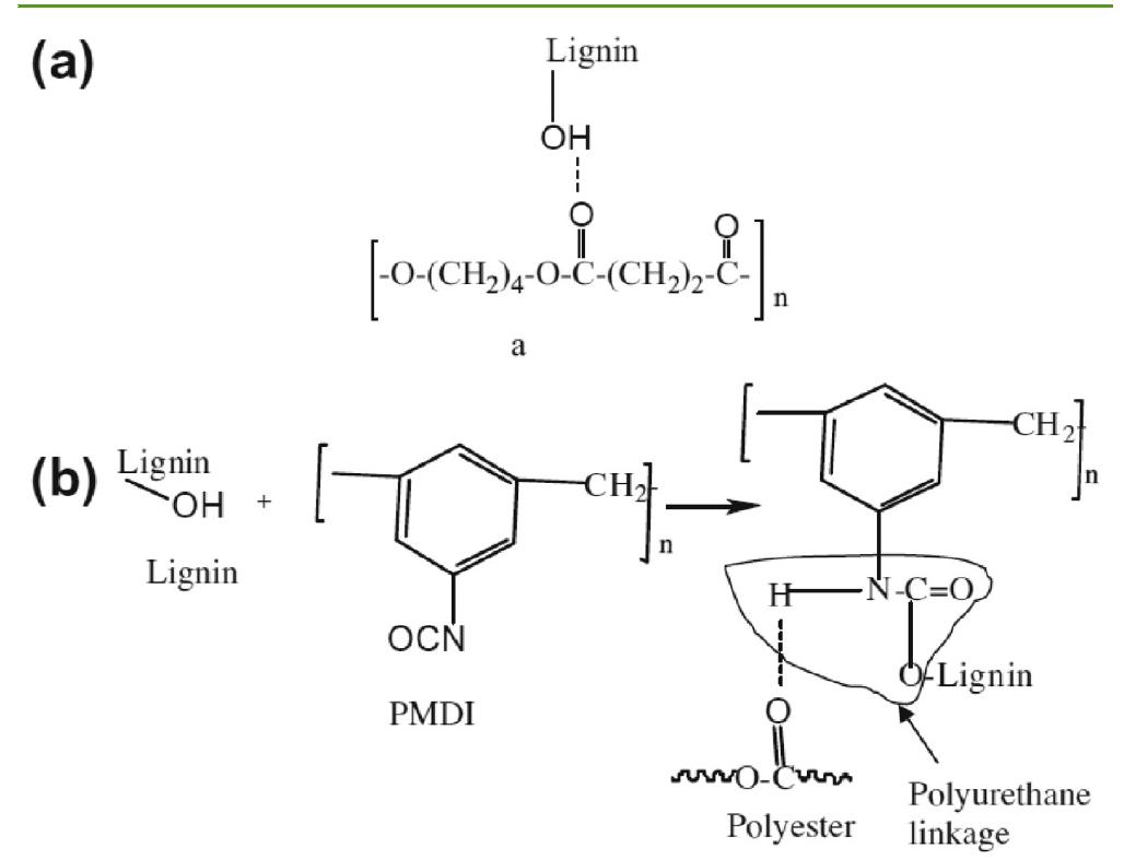 (PDF) Progress in Green Polymer Composites from Lignin for ...
