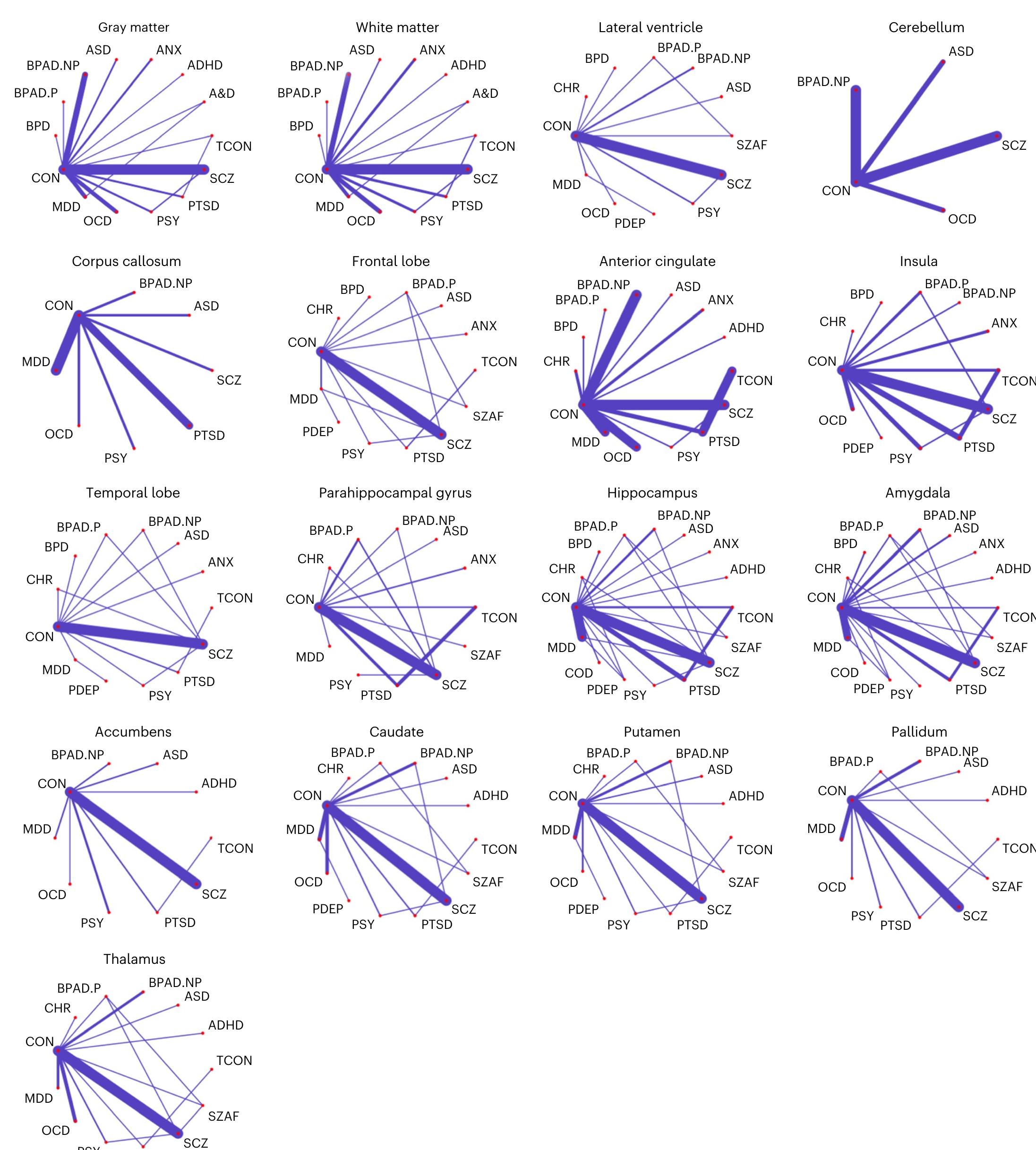 (PDF) Shared and separate patterns in brain morphometry across ...