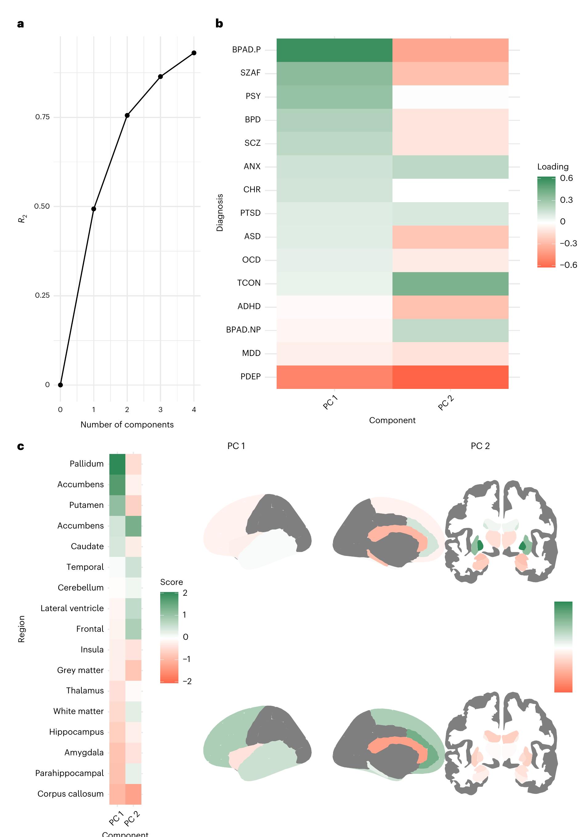 (PDF) Shared and separate patterns in brain morphometry across ...