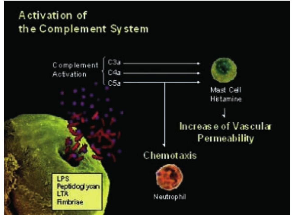 Eressing (PDF) Interappointment pain: mechanisms, diagnosis, and treatment