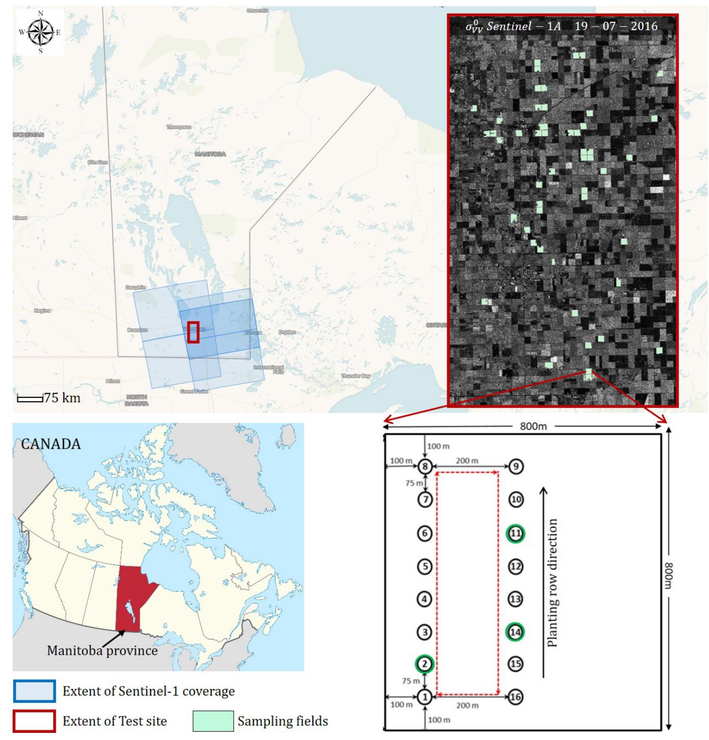 Sentinel Sampling (PDF) Dual polarimetric radar vegetation index for crop growth ...