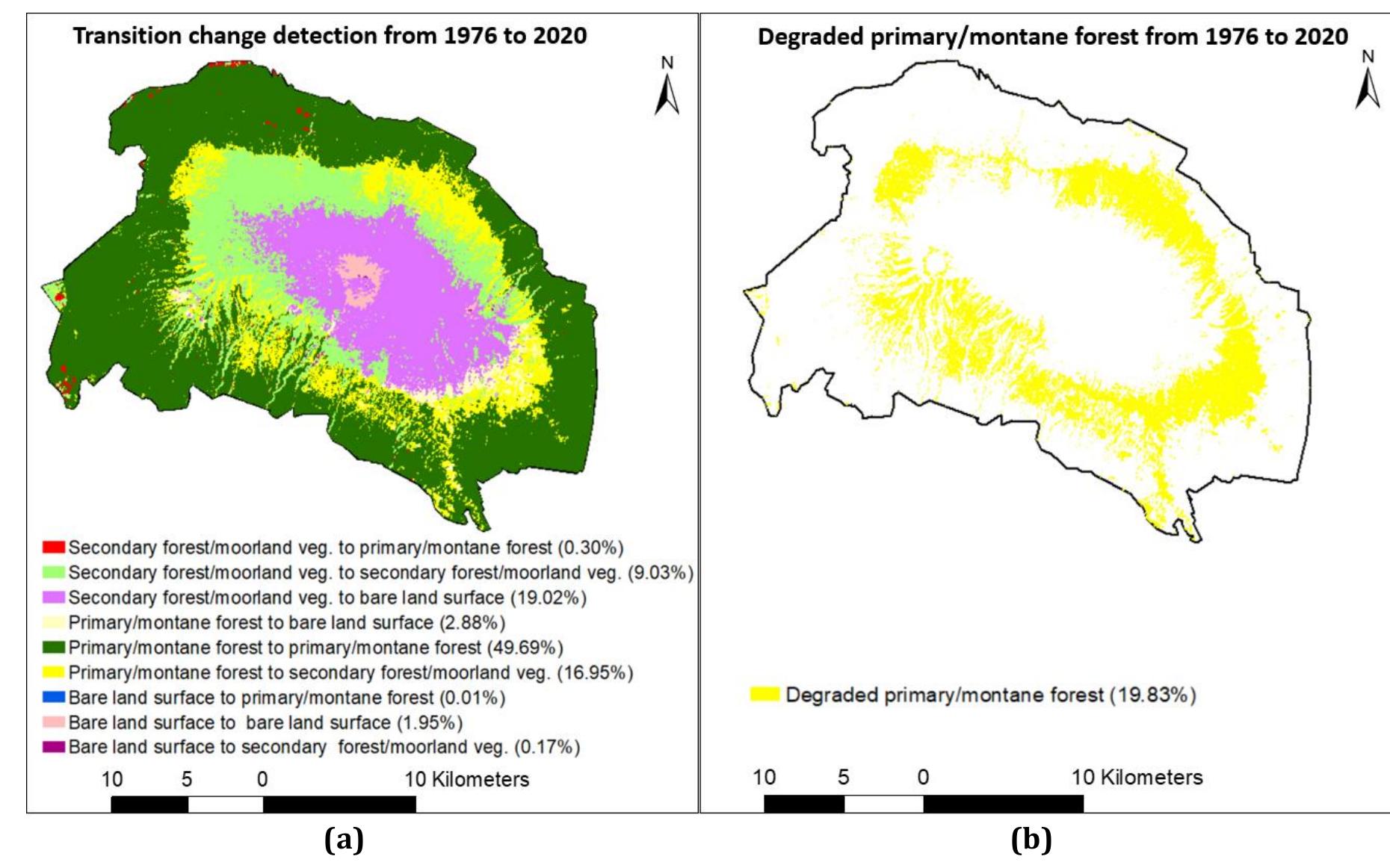 (PDF) Spatial Determinants of Forest Landscape Degradation in the ...