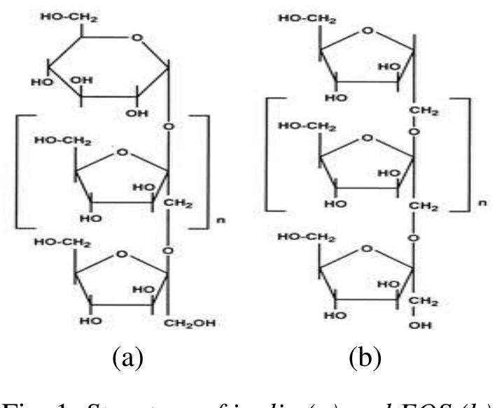 (PDF) Separation of Prebiotics Compounds From Extract of Jackfruit
