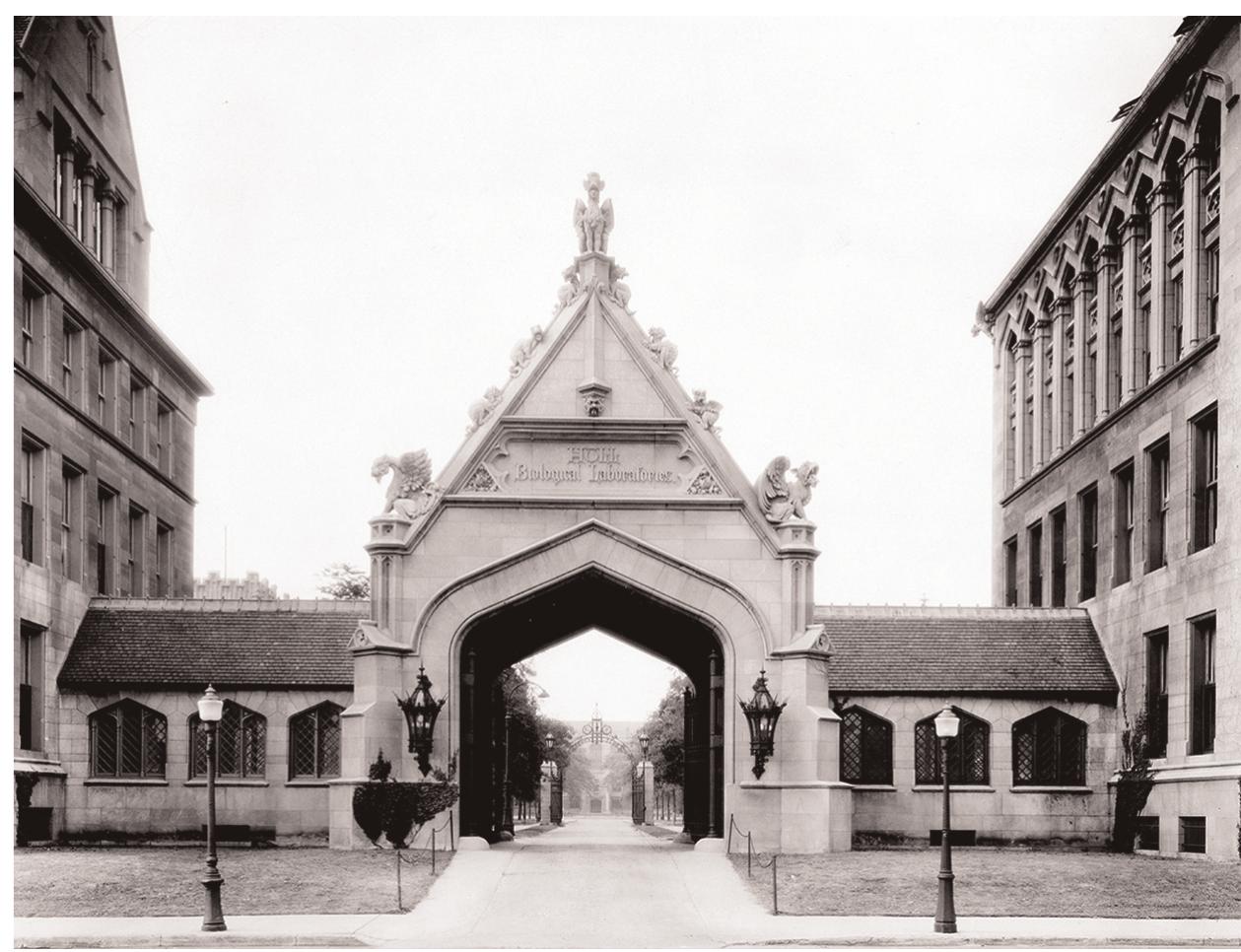 describes as Cobb’s “drift into critical irrelevance.”’” The University of Chicago remained one of his most important commissions. Yet, for critics and historians, the progressive ideals of the university clashed with its medieval styling and suburban location. As the mythology of the Chicago School of architecture took shape, critics dismissed Cobb’s work in  comparison to the more innovative designs of his peers. Already in 1896 Montgomery Schuyler had offered only  “  lukewarm praise for Cobb’s “academical correctness” while noting more striking modern works by Dankmar Adler, Louis Sullivan, and Daniel Burnham.”? In 1899 Chicago architect and critic Peter B. Wight observed an emerging divide within the English Gothic Revival, which he described as splitting into “the extravagant imitation of Gothic forms,” on the one hand, and, on the other, “the rational treatment on constructive lines, and the discarding of ornament in which there was little to suggest medievalism.”°° Cobb’s University of Chicago fell into the former category. A symbol of social aspiration in the middle of the nineteenth century, the Gothic now conveyed conservatism. For critics such as Schuyler and Wight, Cobb’s university architecture repre- sented an American culture dependent on the Old World rather than leading the New.  The appearance of Veblen’s Theory of the Leisure Class 