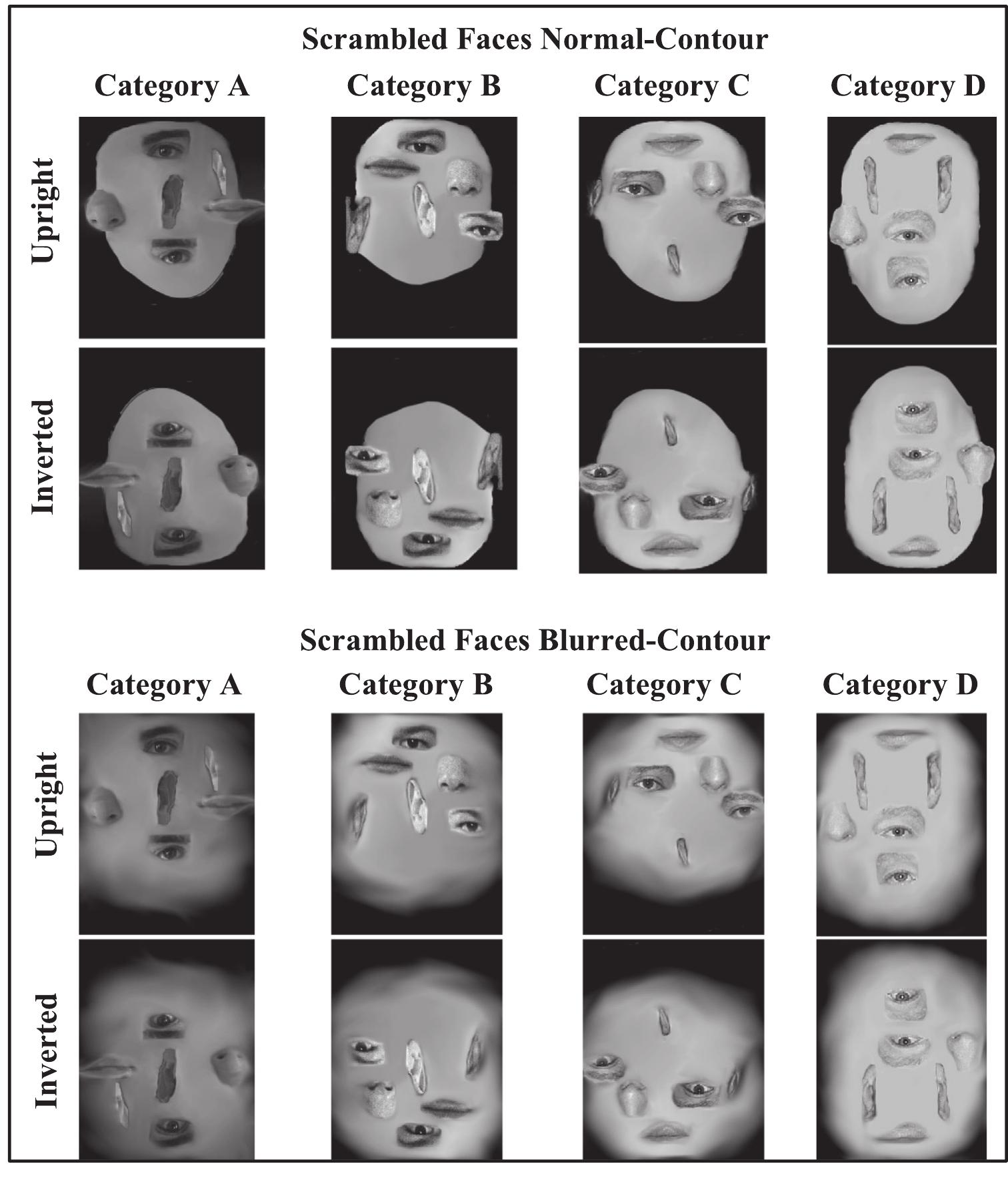 Figure 1 - Changing face contours reduces the inversion