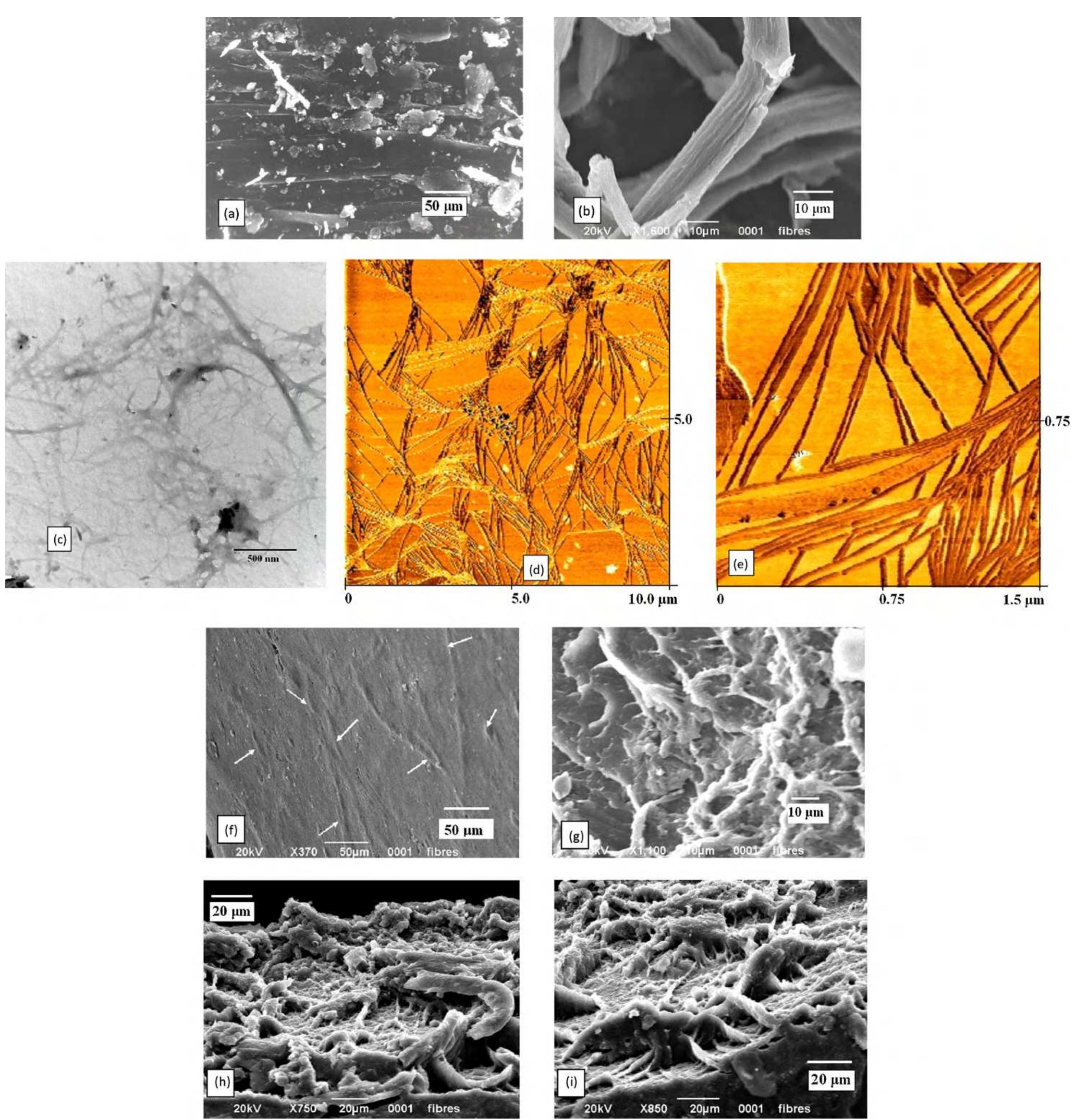 (PDF) Green nanocomposites based on thermoplastic starch and steam ...