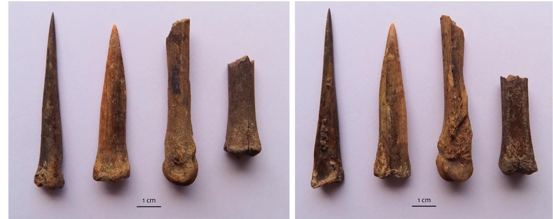 Figure 6. Complete and fragmented awls produced from small ruminant metapodial bones  Raw materials used were predominantly bones, mainly metapodial bones and ribs. Also, several astragali were found, as well as one phalanx. Bones were from both large and medium-sized ruminants — cattle, red deer and sheep/goats. Red deer antlers were used to a lesser extent, and it was impossible to determine whether they were collected or obtained from hunted animals. Just one artefact from Spondylus shell was discovered. Artefacts from teeth were not noted. 