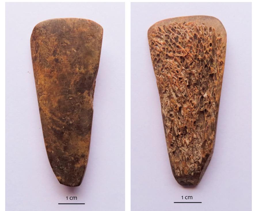 Figure 10. Spatula-chisel made from rib  Figure 9. Fragmented tool from red deer antler, probably large cutting tool 
