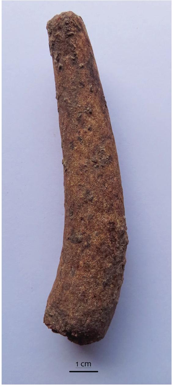 Figure 11. Small punching tool from red deer antler tine  Incomplete items. Besides several artefacts that are too fragmented to be identified typologically, three fragments of metapodial bones with just traces of manufacture were also noted. These bones were split longitudinally, and traces of a groove produced by a chipped stone tool are clearly visible. Traces of later stages of manufacture (namely, burnishing) and use-wear traces are missing, showing that these items are manufacture debris — and, as these are proximal fragments of metapodial bones, they were most likely discarded and only the distal portions were used for tool production. 