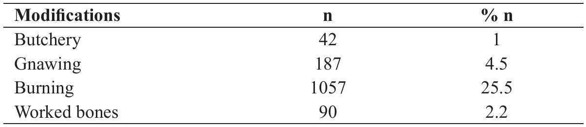 Table 3. Distribution of bone modifications in total faunal assemblage (n = 4146)  Although the animal remains from the Late Neolithic Jablanica are well-preserved without pro- nounced weathering marks, they are highly fragmented. Whole skeletal elements constitute 3% of the total faunal assemblage. Butchery marks were revealed on the bones of cattle, pigs, and caprines and comprised 1% of the specimens in total. Traces of burning were found on 25.5% of animal remains. Most burnt spec- imens are carbonised or calcined, indicating the post-consumption treatment, such as managing midden areas. Gnawing marks are found on 4.5% of the specimens, indicating that dogs or even pigs had occasional access to animal bones. Taphonomic characteristics of the faunal assemblage from Jablanica, particularly the high percentage of carbonised and calcined specimens, indicate the possible existence of the organisa- tion and management of midden areas in the settlement (Table 3). 