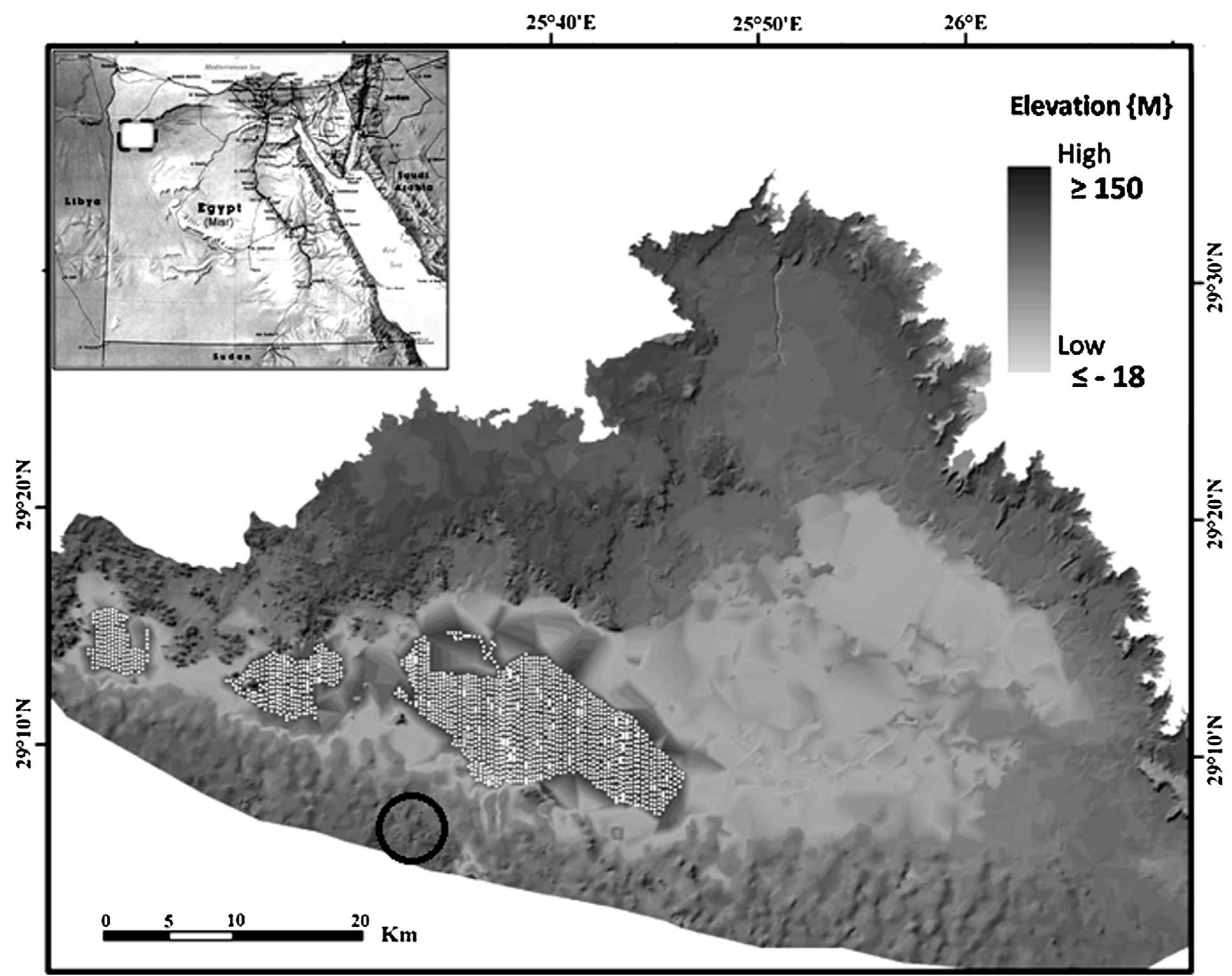 Siwa Shell (PDF) Sand dune migration as a factor of geoheritage loss: Evidence ...