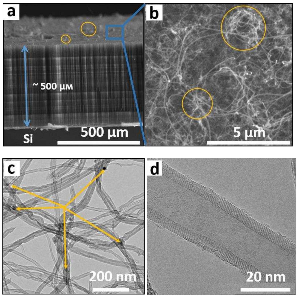 Sem images of side view (a) and top view (b) of cnt array.