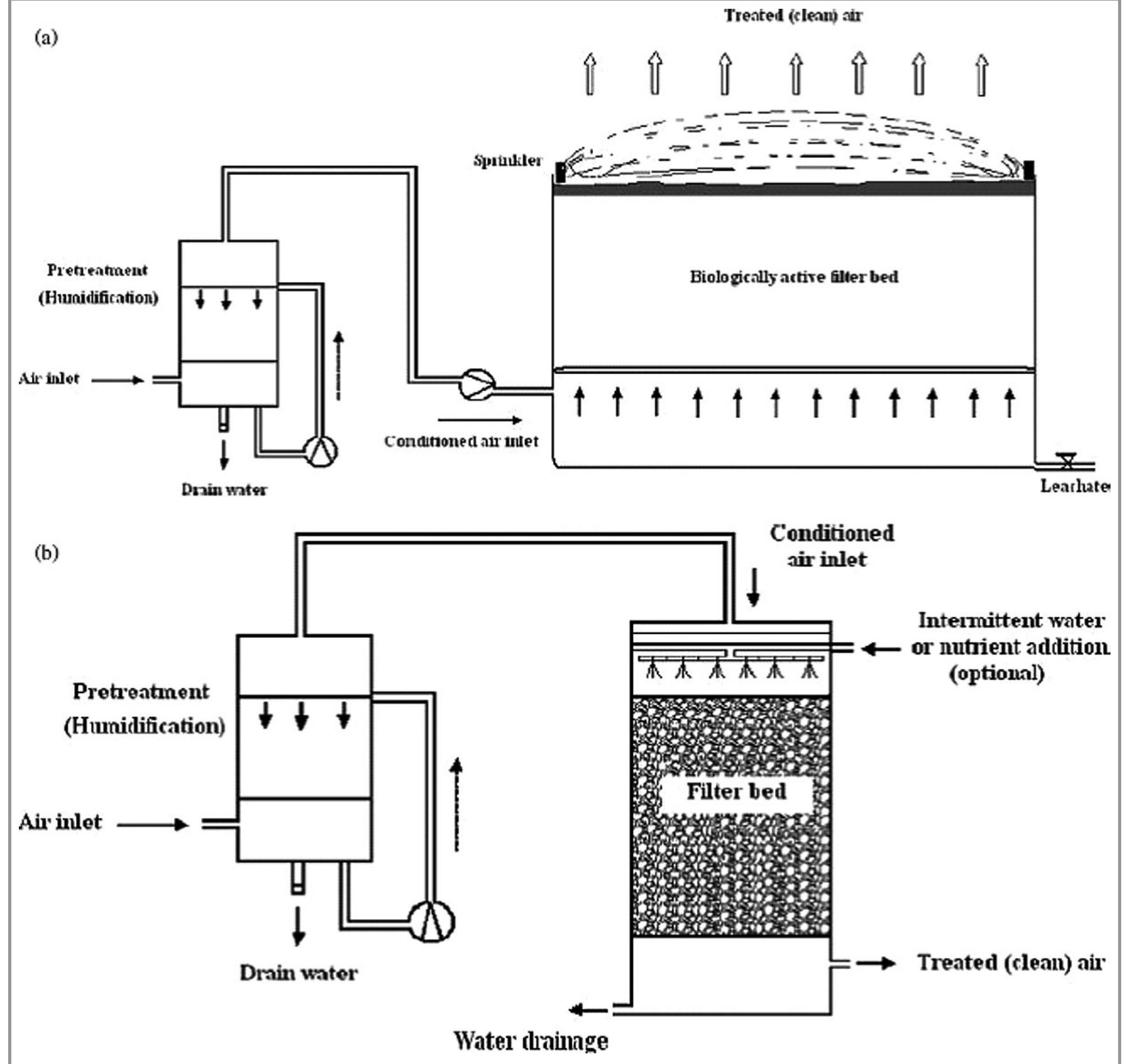 (PDF) Environmental Microbiology and Biotechnology: Progress and Prospects